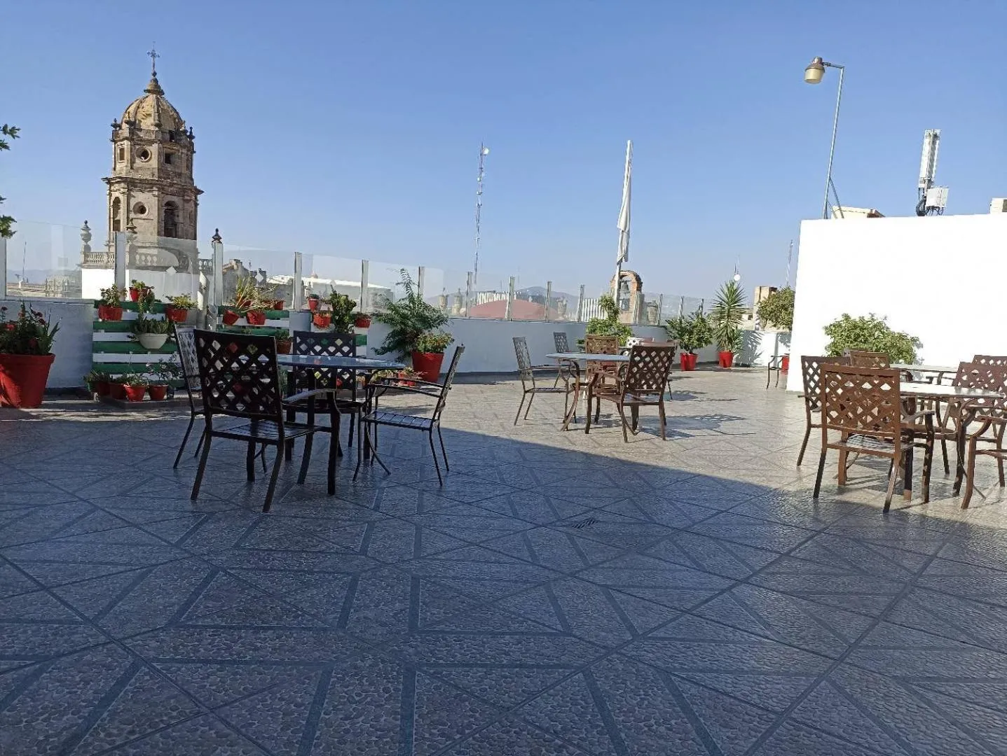 Garden in Roma Guadalajara in downtown