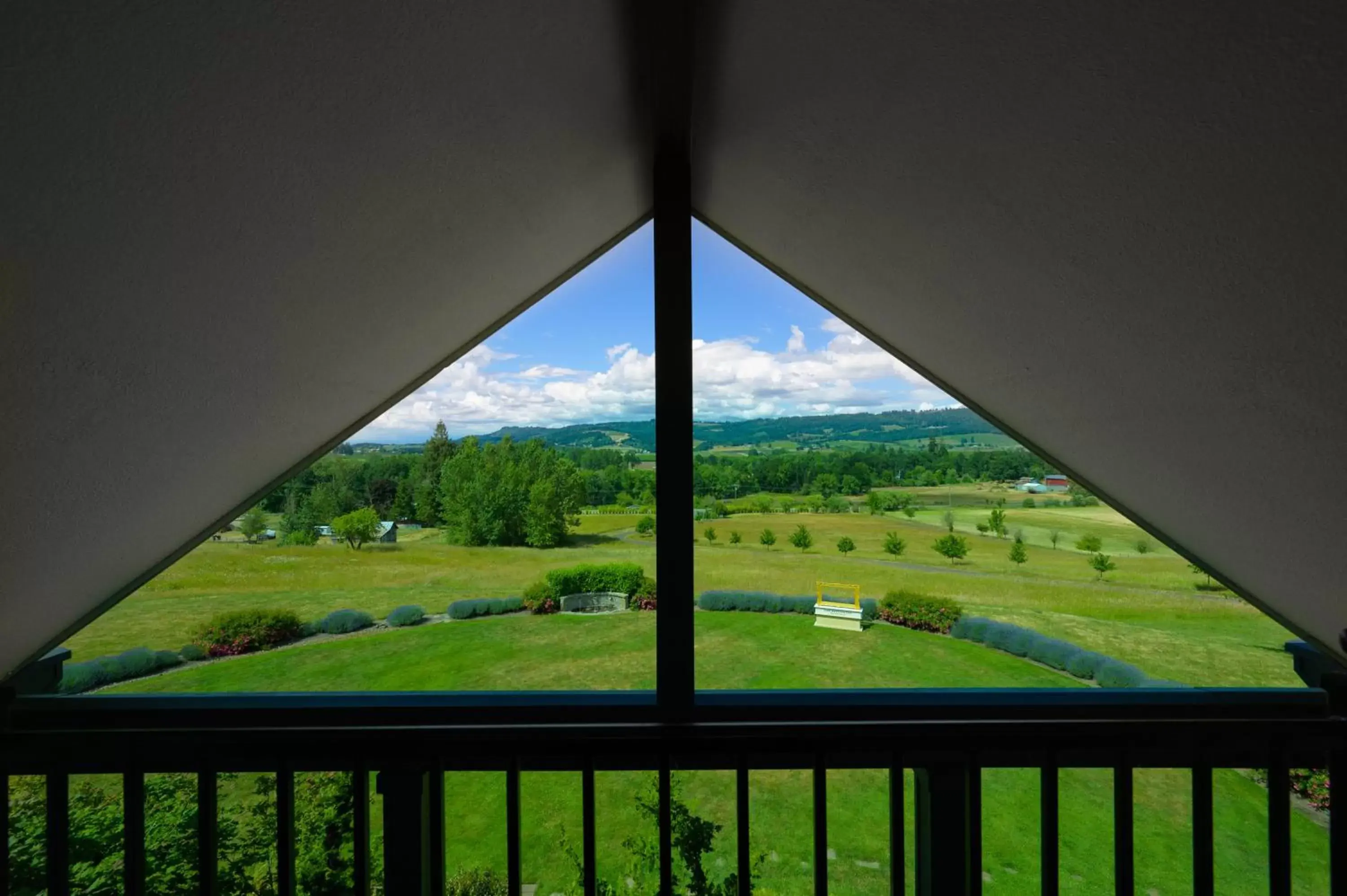 View (from property/room) in The Setting Inn Willamette Valley