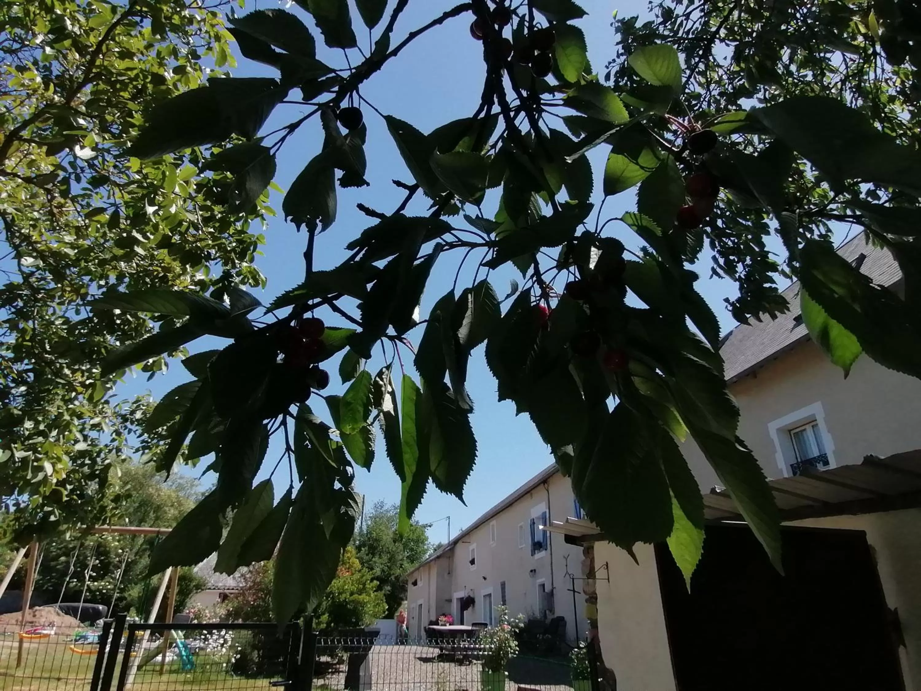 Property Building in La Parisière