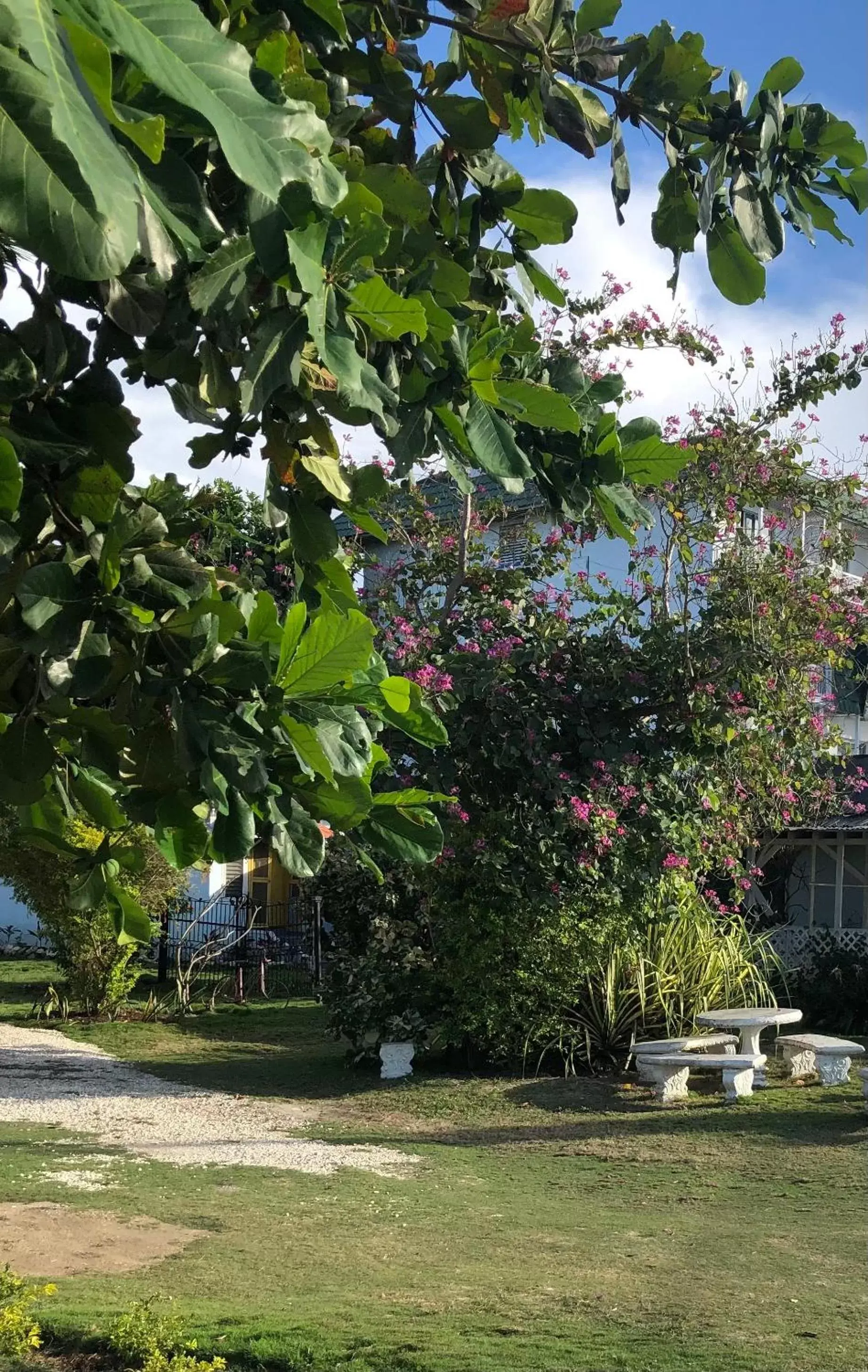 Garden in Airport Beach Hotel