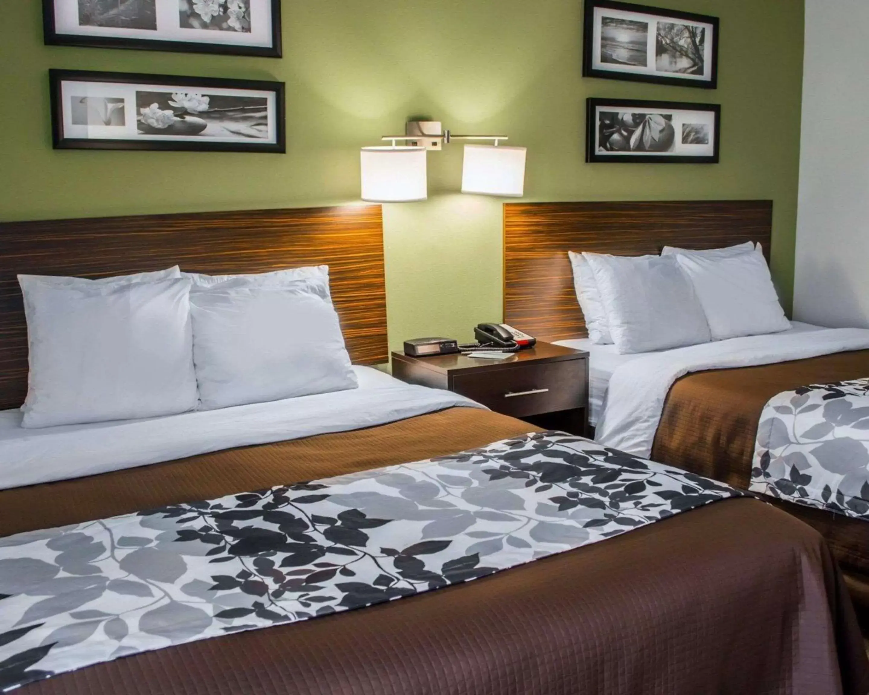 Photo of the whole room, Bed in Sleep Inn Historic Williamsburg