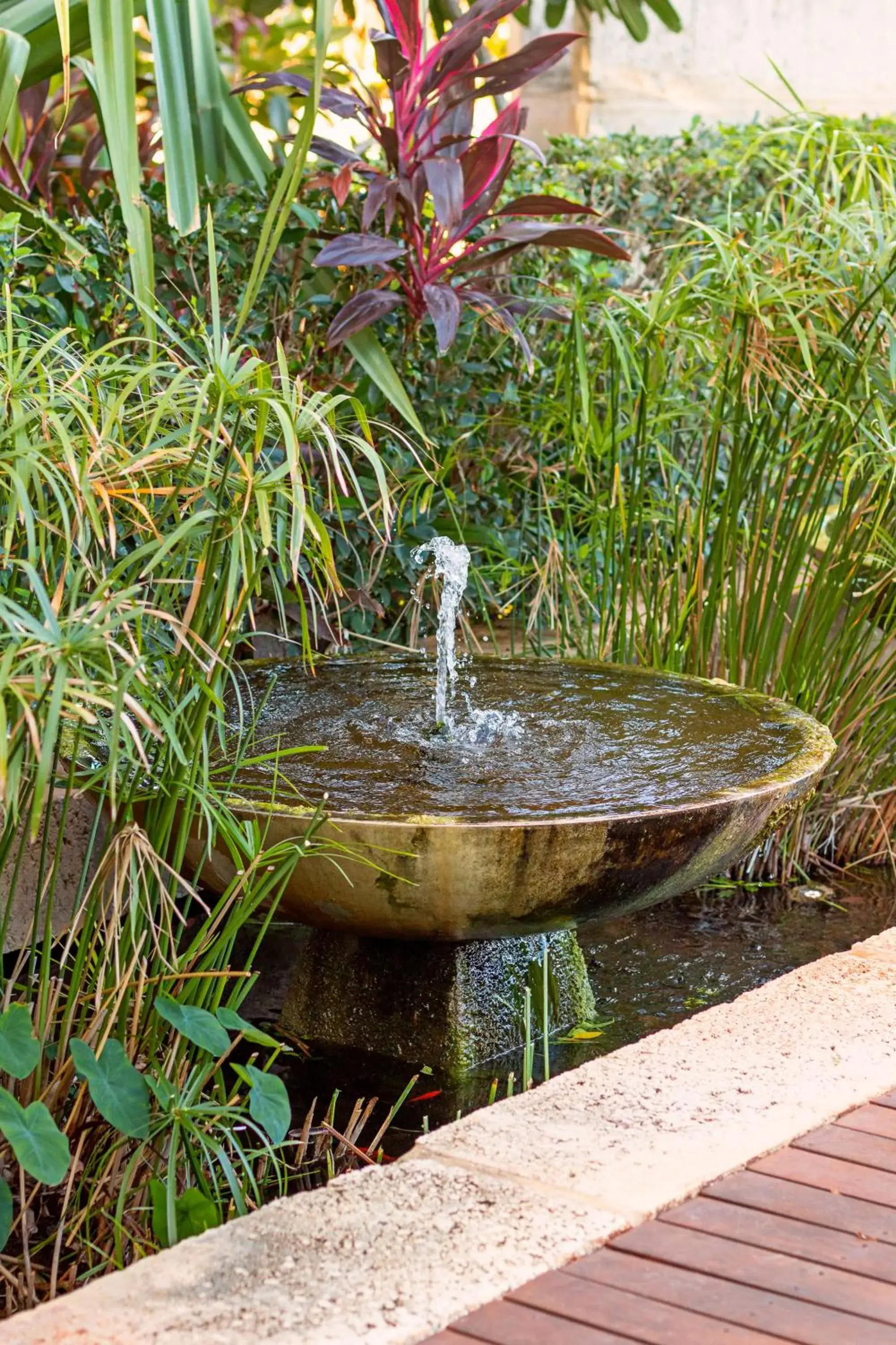 Garden in The Billi Resort