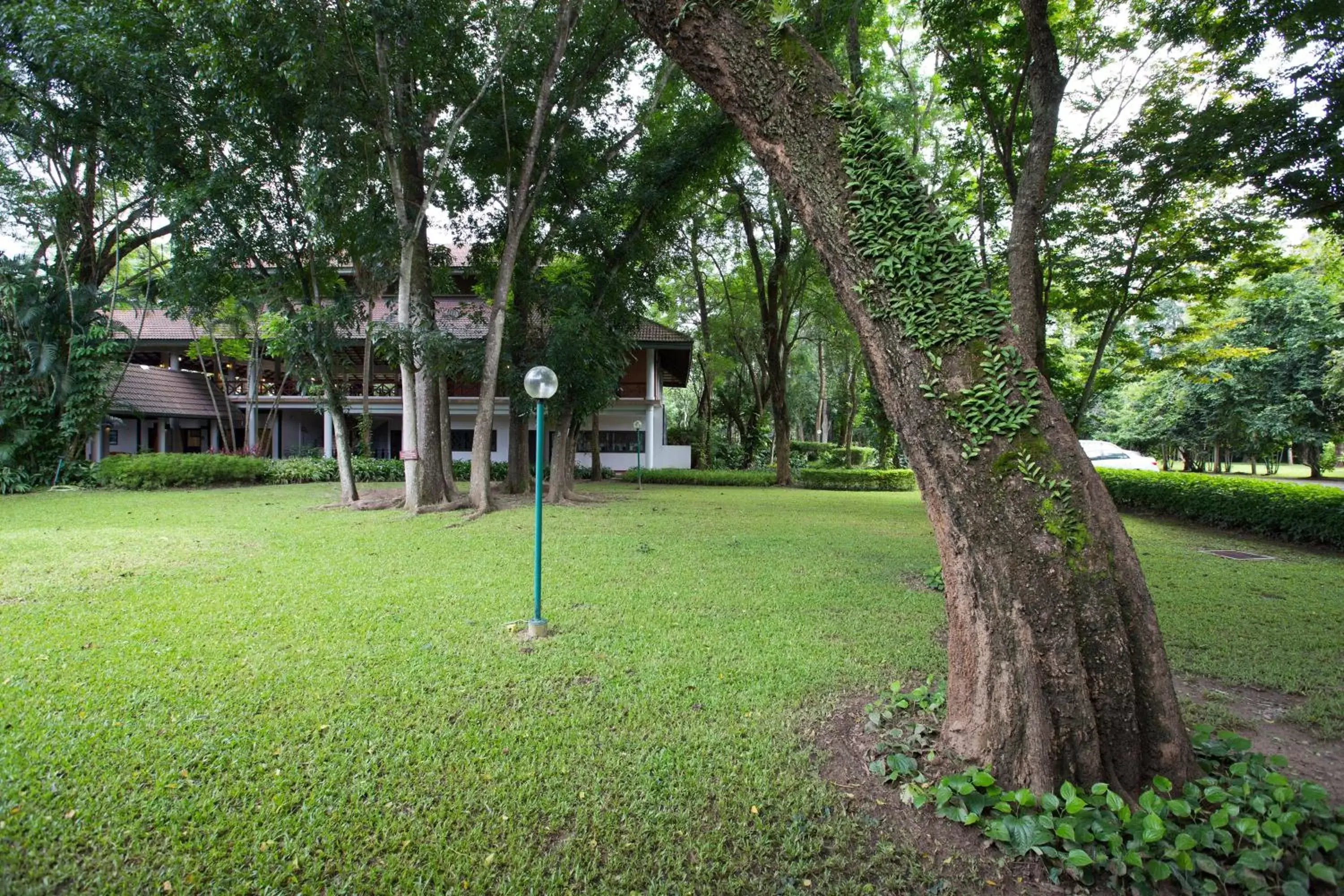 Food and drinks, Garden in The Imperial Chiang Mai Resort & Sports Club