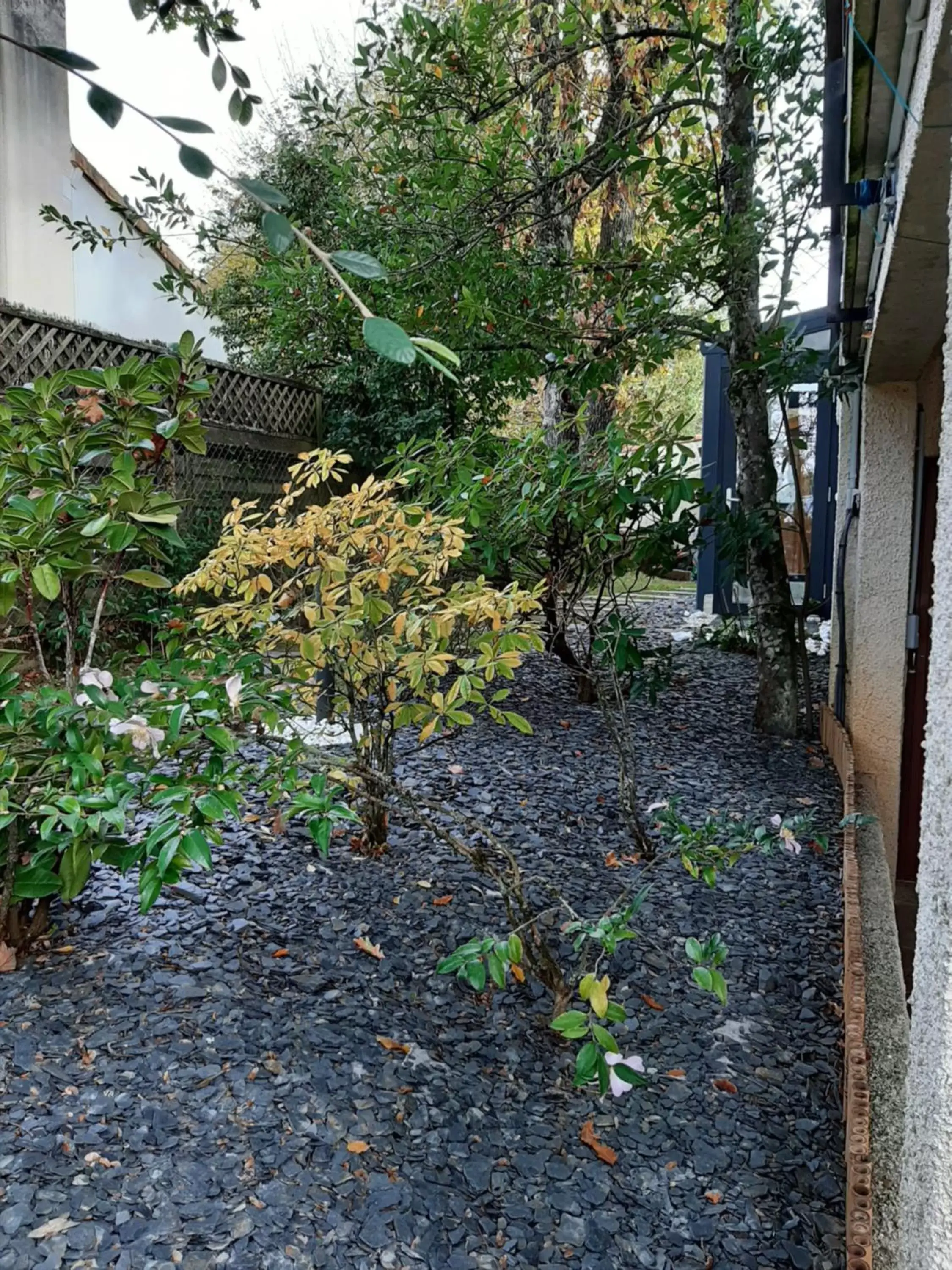 Garden in SAKURA