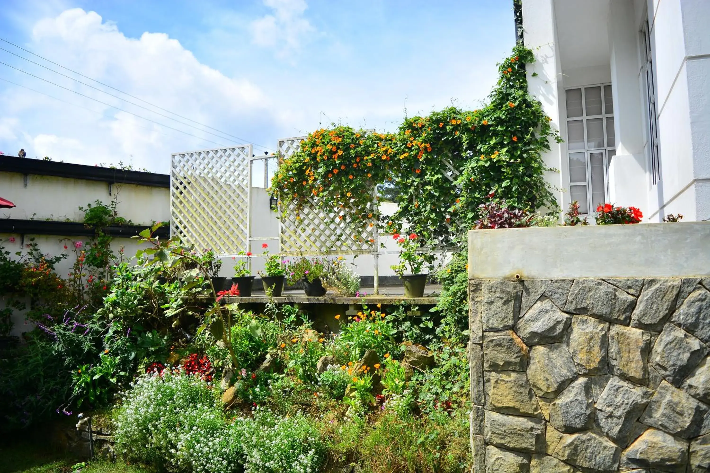 Other, Property Building in Unique Cottages