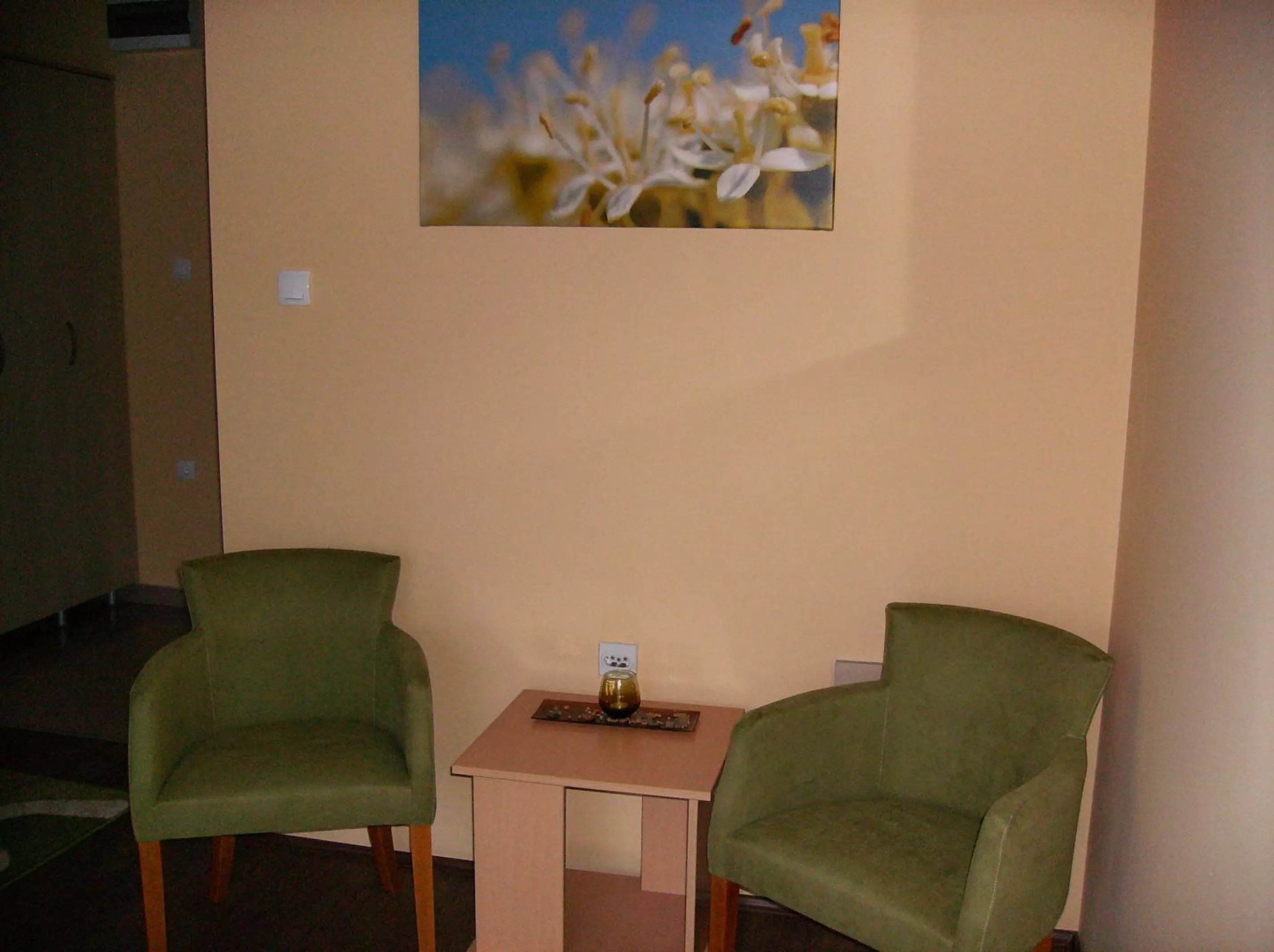 Seating area in B&B Zmajevo Gnezdo 021