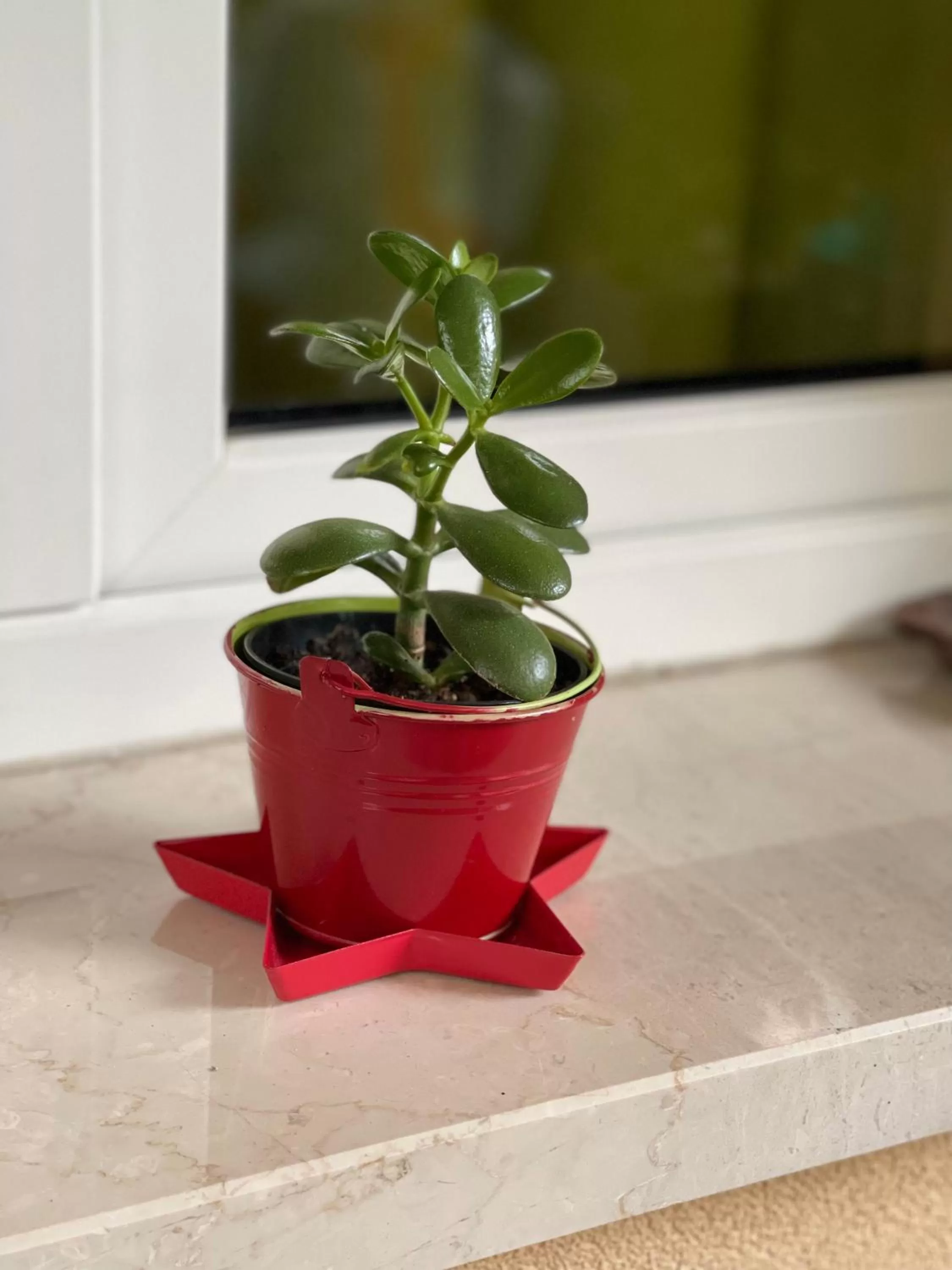 Smart House Rental Rooms FREE PARKING