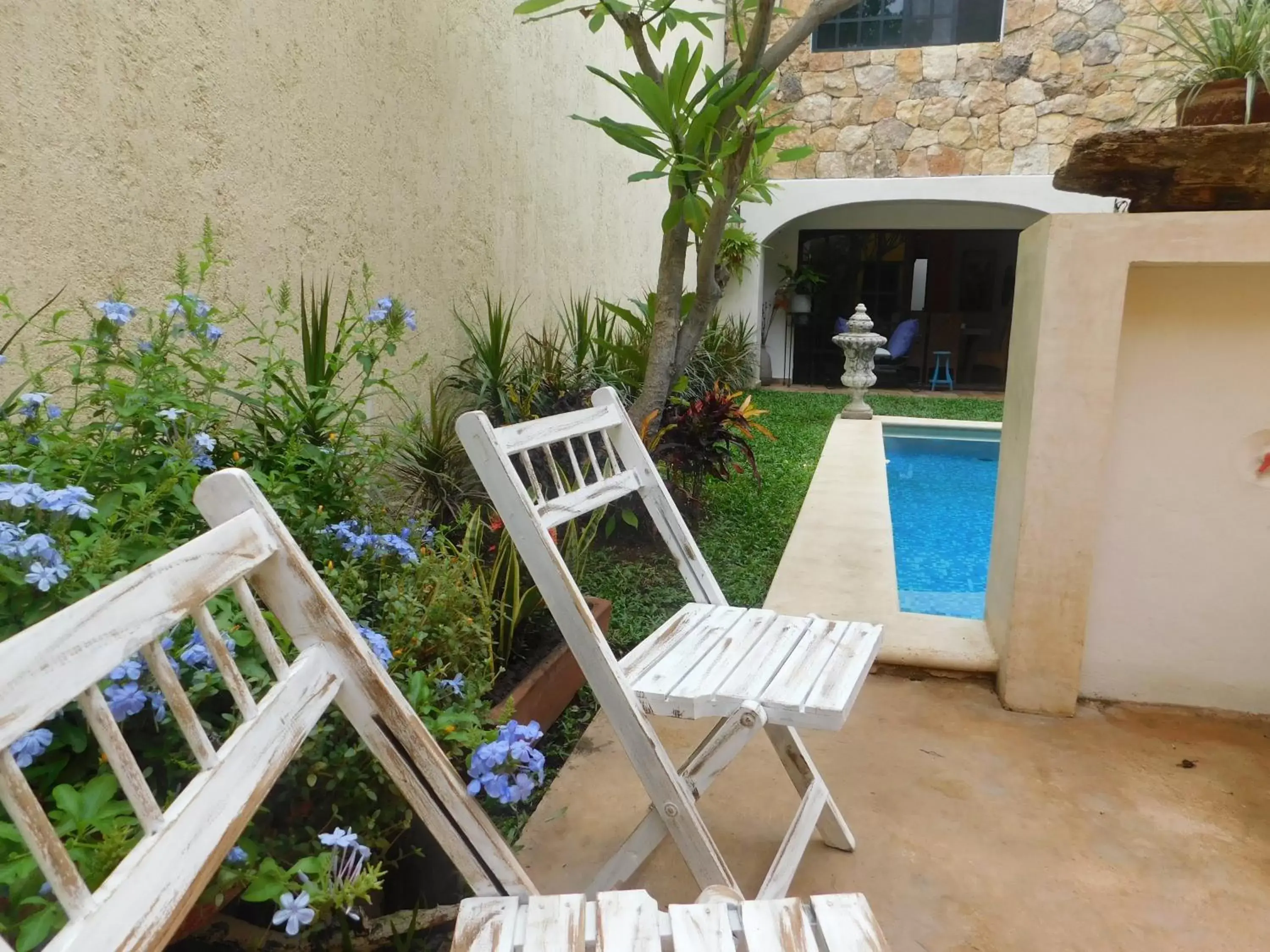 Garden, Swimming Pool in Hotel Boutique Casa Flor de Mayo