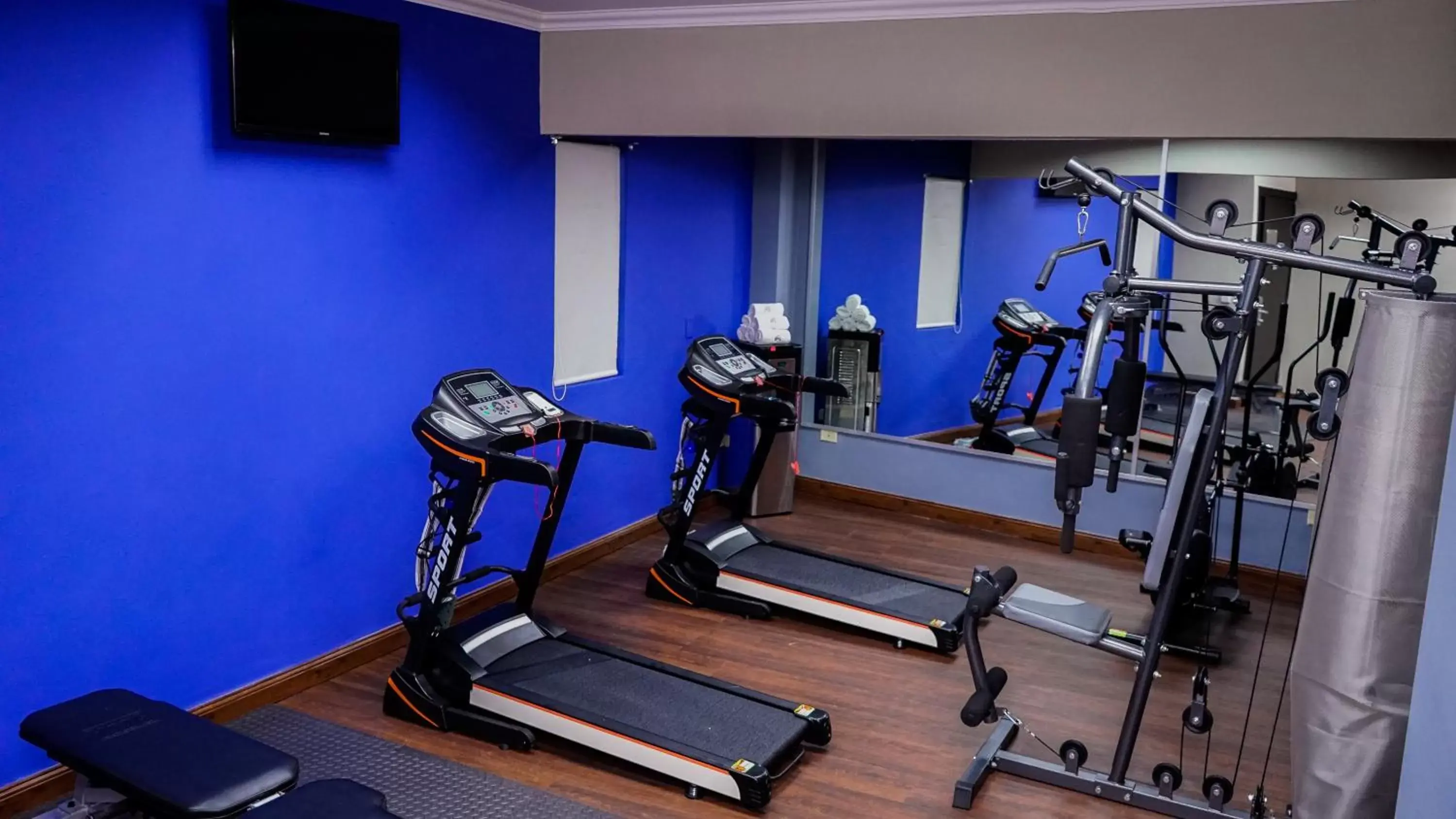 Fitness centre/facilities, Fitness Center/Facilities in Aranjuez Hotel & Suites