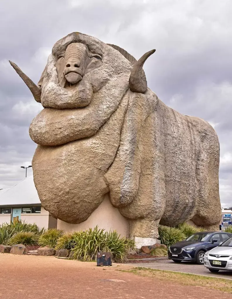 Nearby landmark, Other Animals in Goulburn Motor Inn