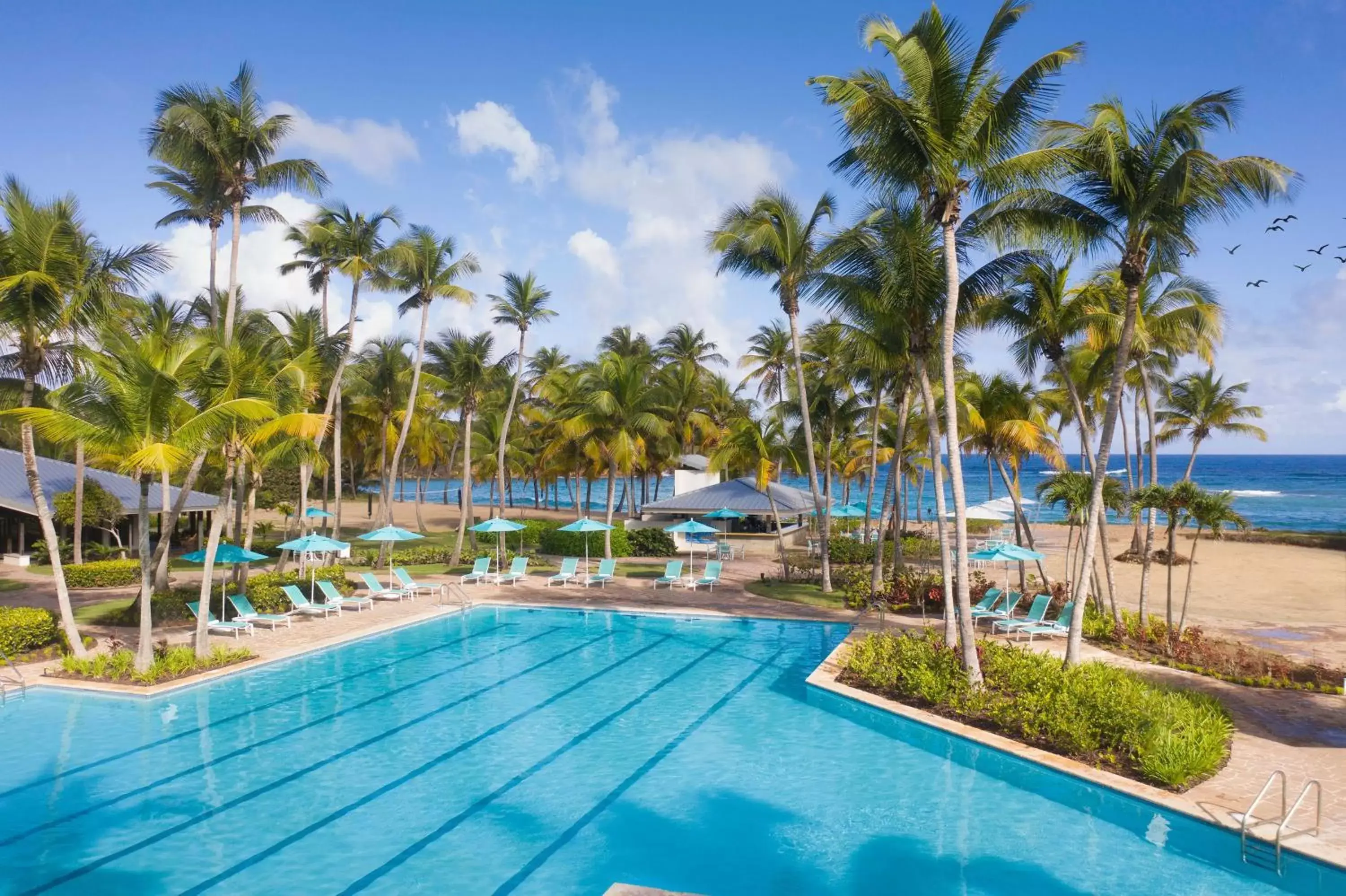 Restaurant/places to eat in Hyatt Vacation Club at Hacienda del Mar Restaurant/places to eat in Hyatt Vacation Club at Hacienda del Mar