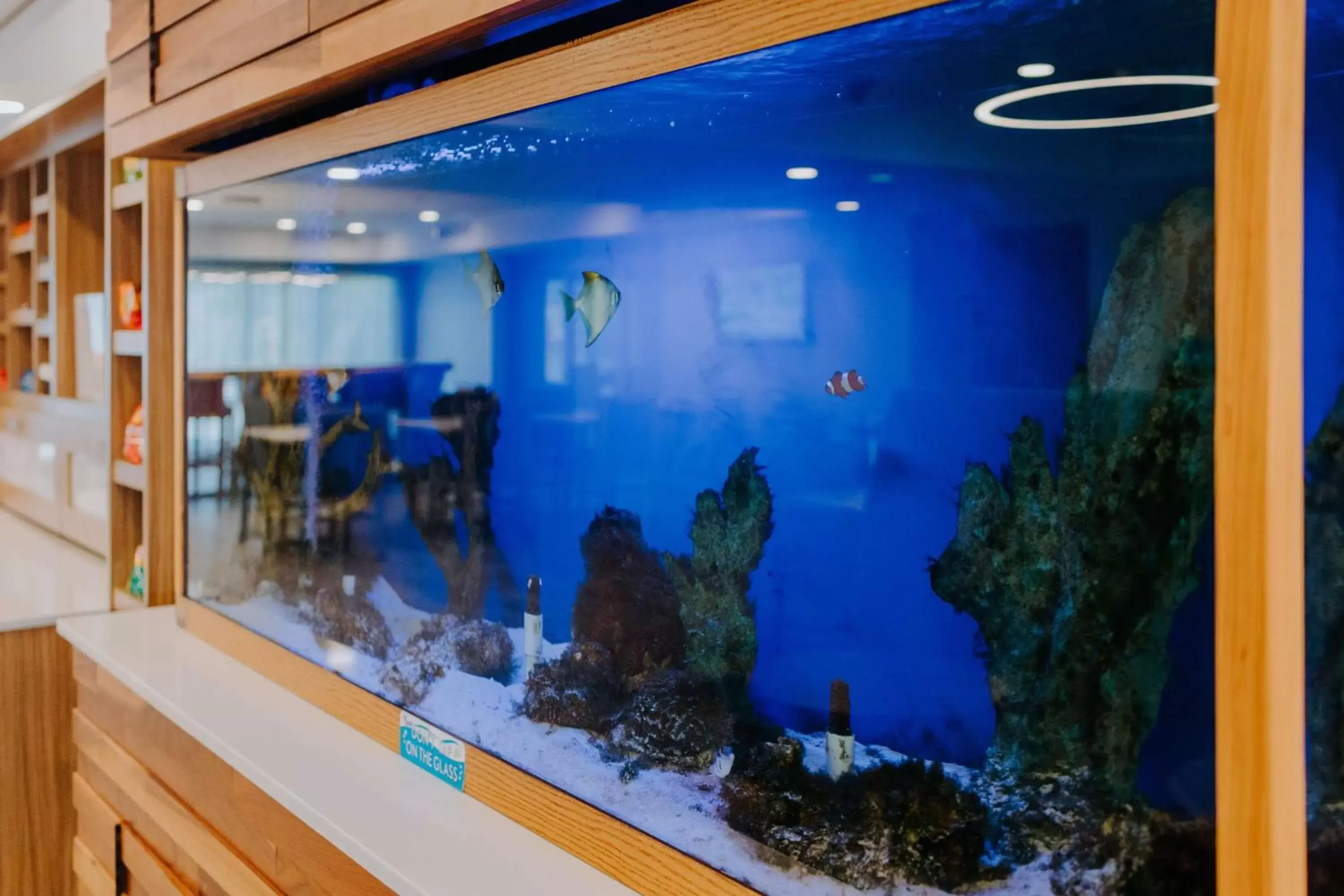 Lobby or reception in Hampton Inn Rehoboth Beach