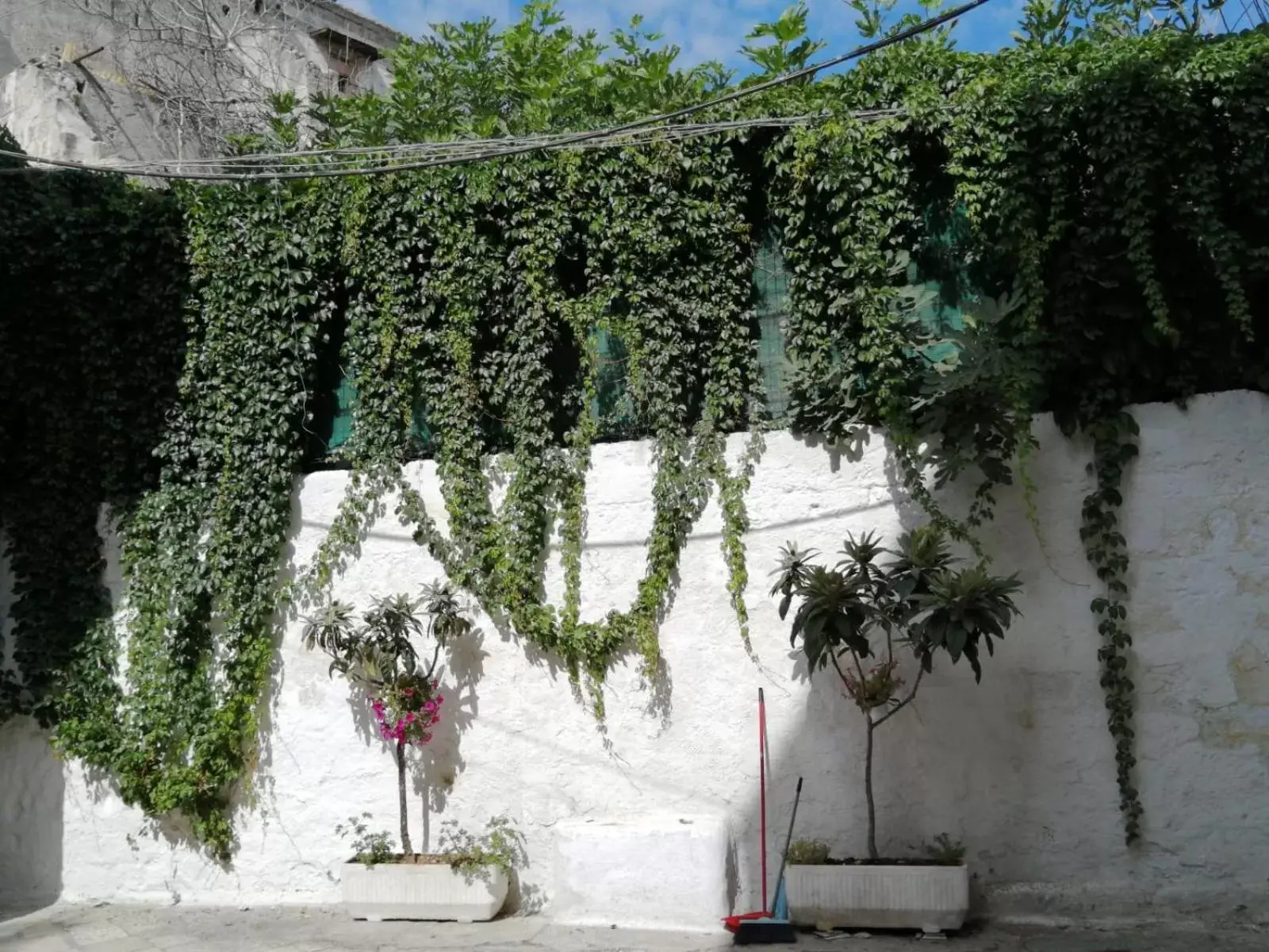 Borgo Fontana B&B