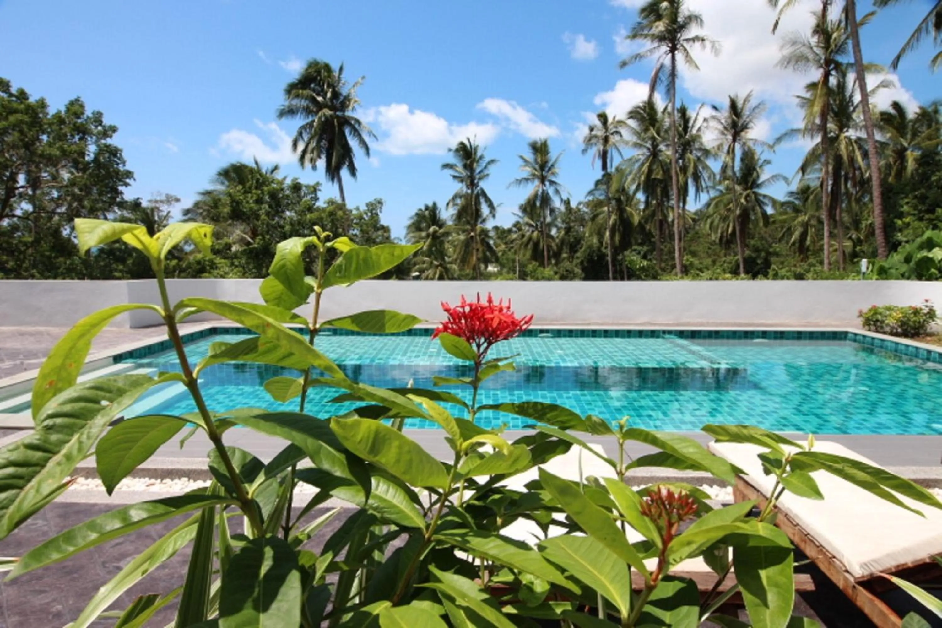 Studio with Pool View in Tropical Sea View Residence