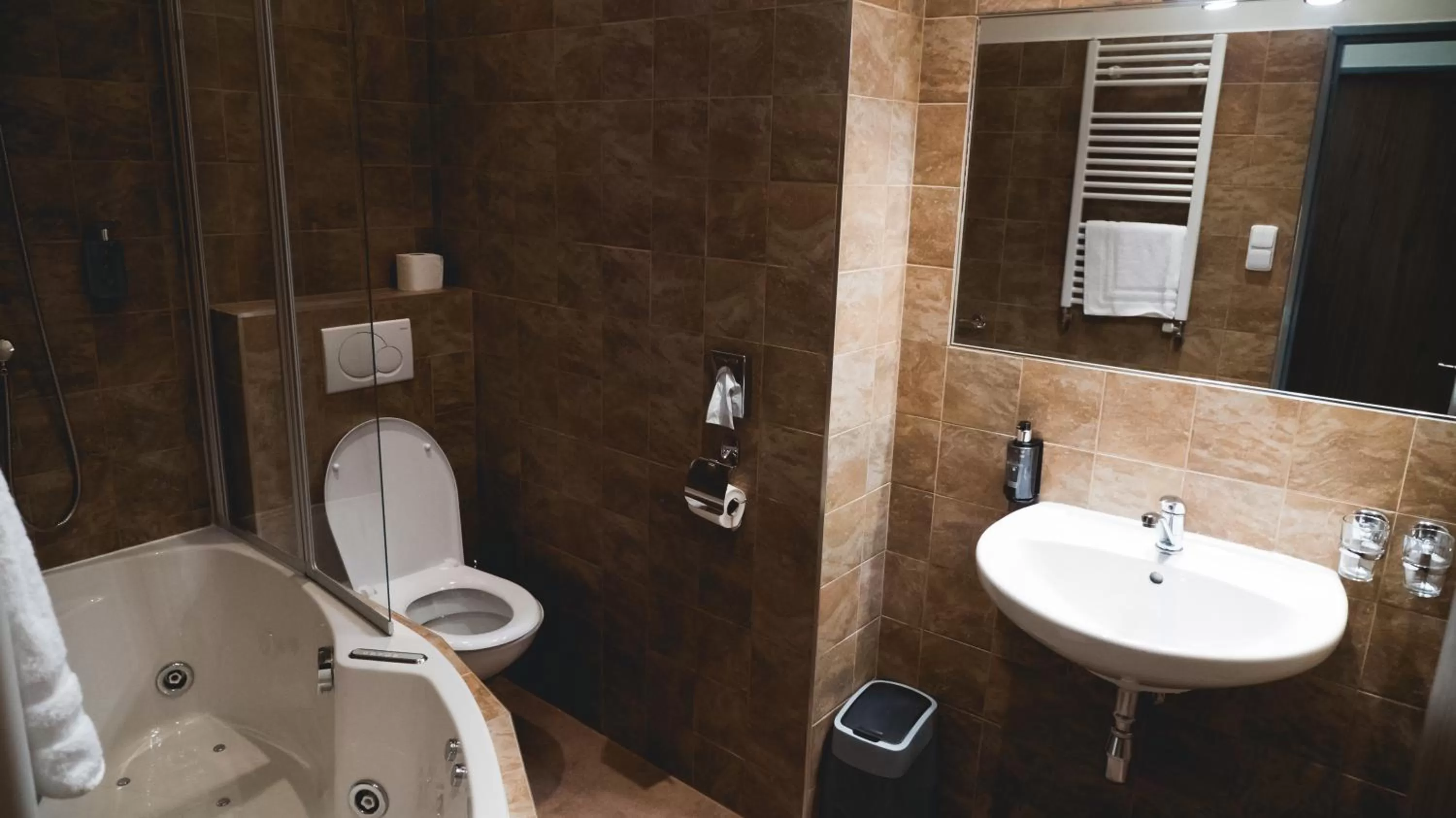 Toilet in Hotel U Ševce