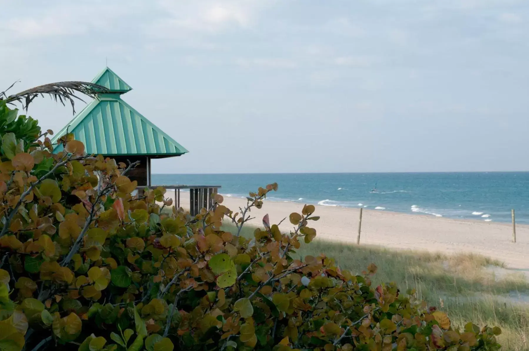 Day, Beach in Ocean Lodge