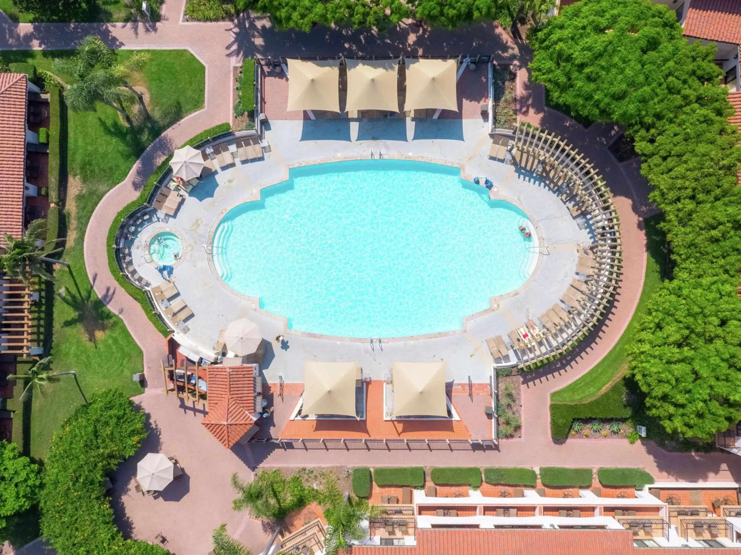 Pool View in Hilton Santa Barbara Beachfront Resort