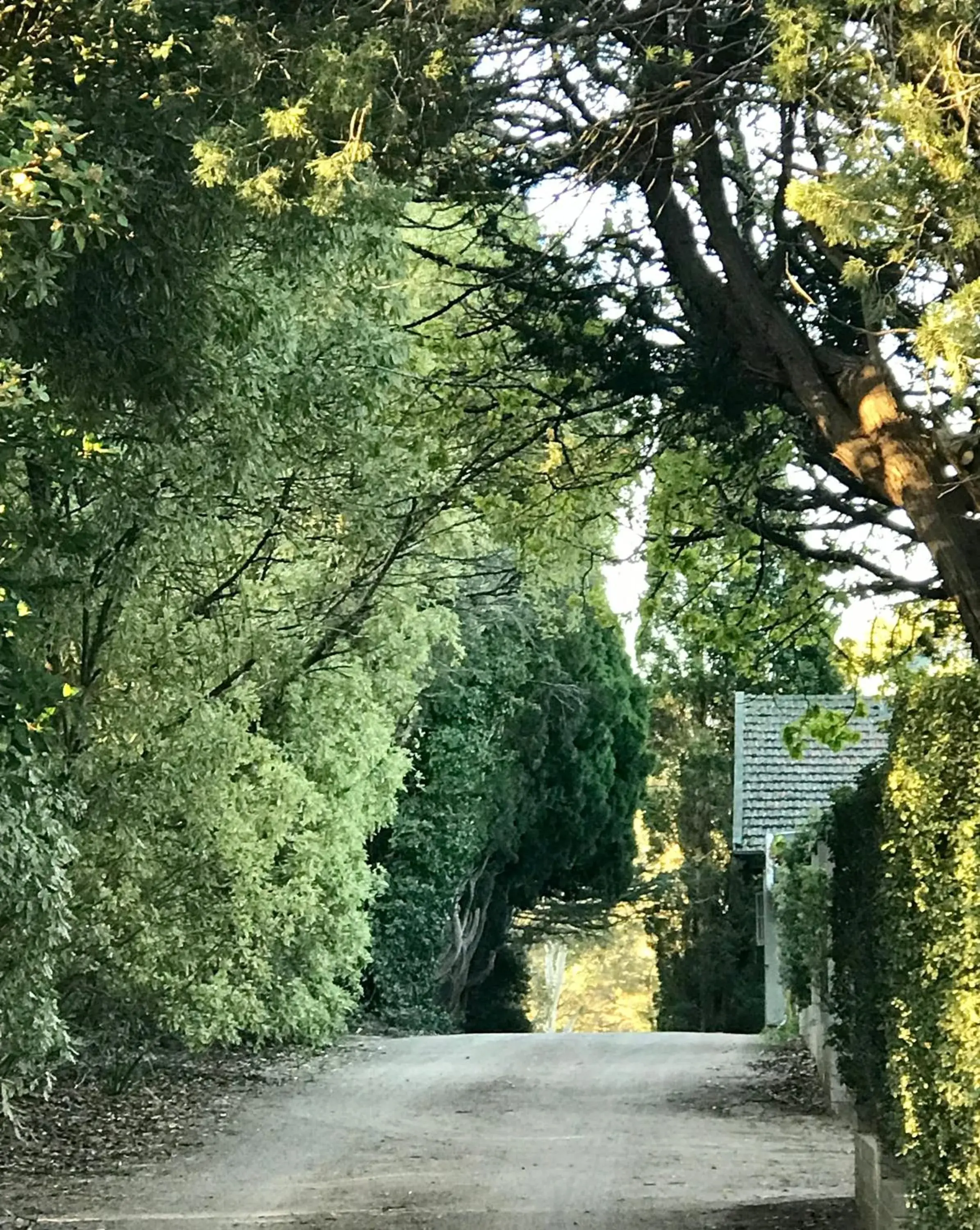 Property building in Links House Property building in Links House