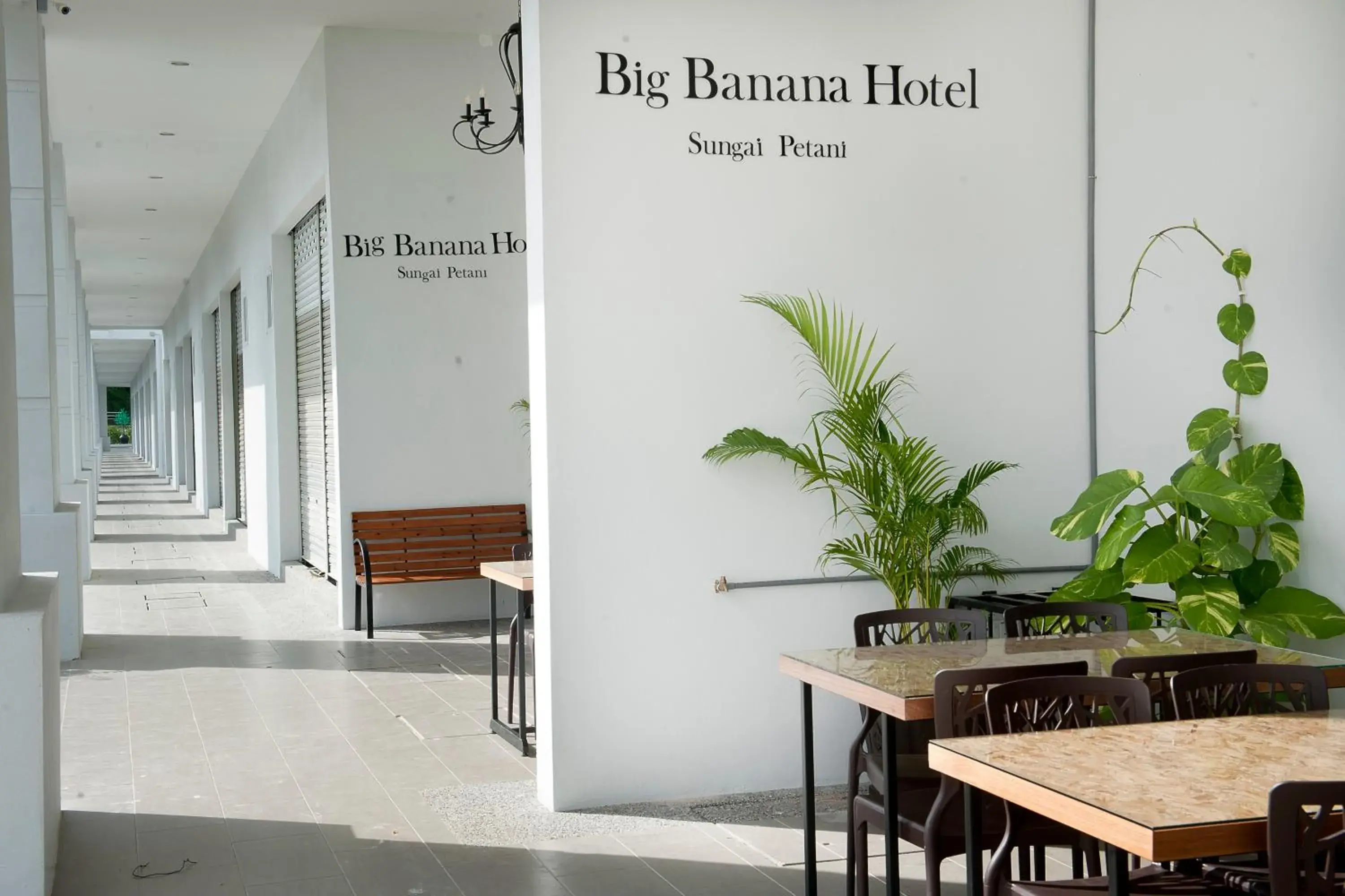 Big Banana Hotel
