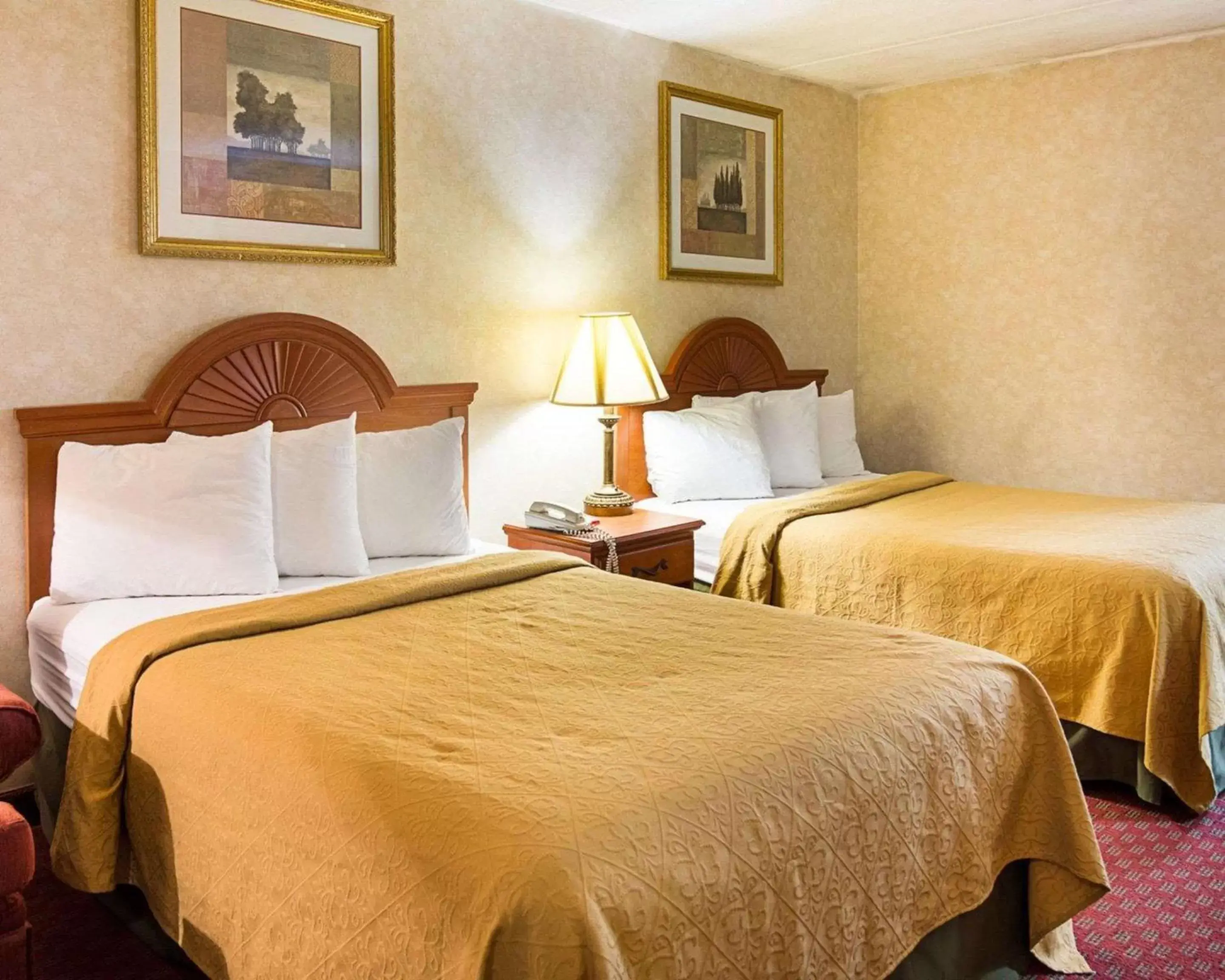 Photo of the whole room, Bed in Quality Inn Petersburg Near Fort Gregg-Adams