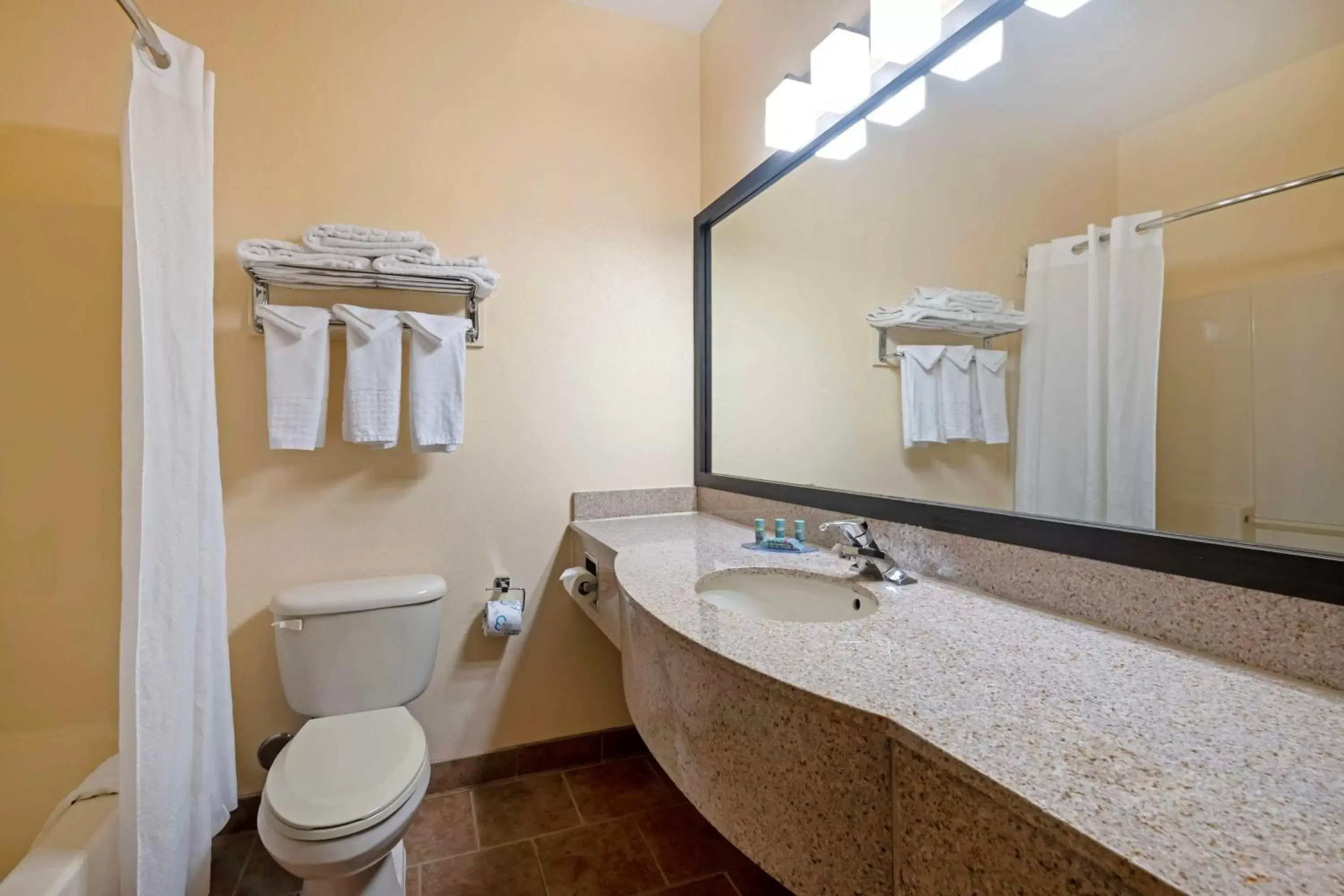 Bathroom in Best Western Laramie Inn & Suites