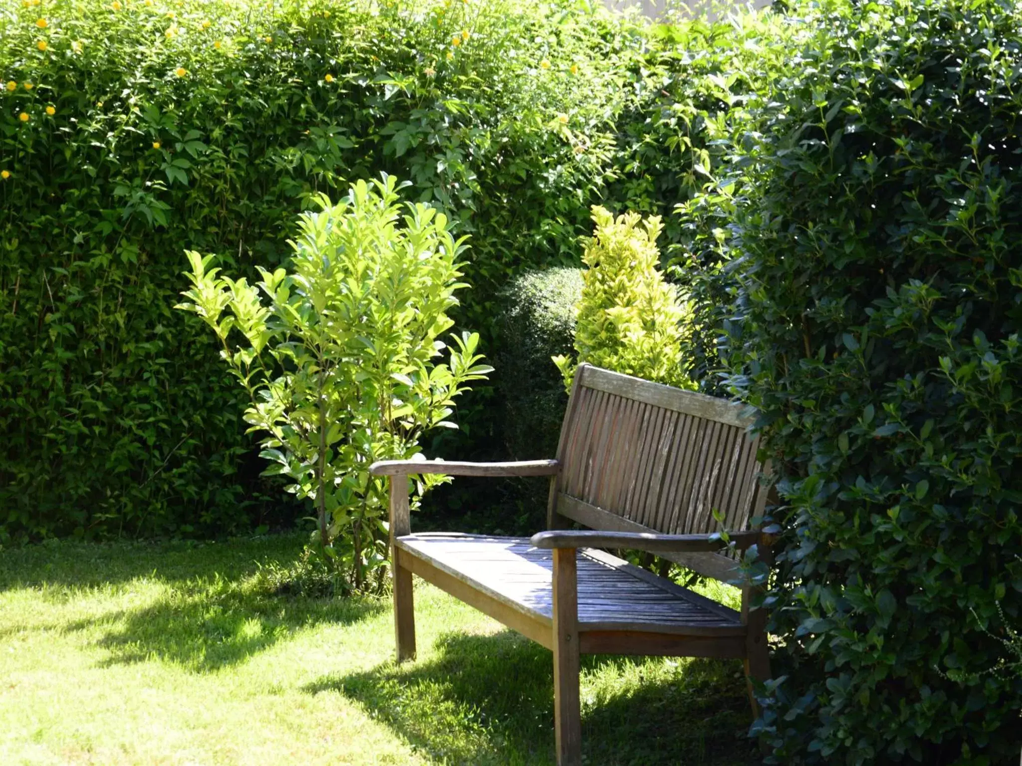 Garden in Hotel Les Terrasses