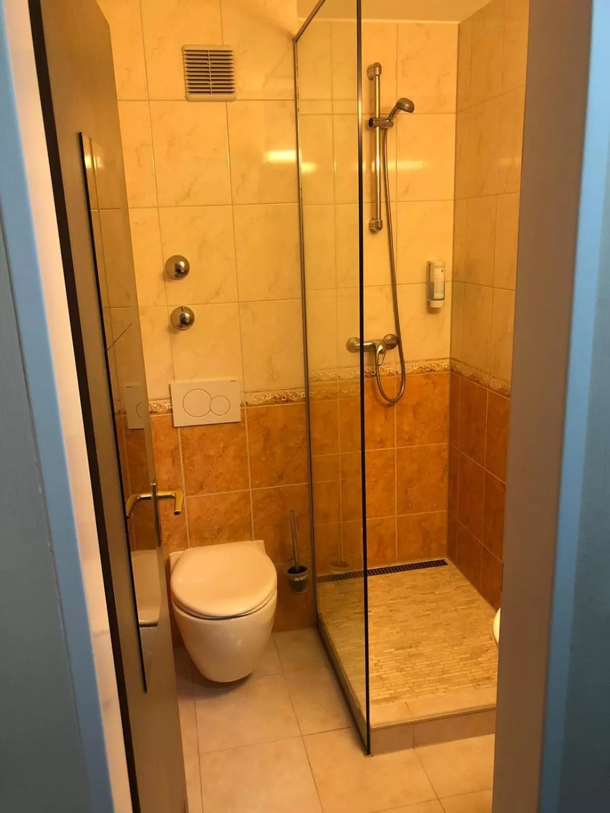 Shower, Bathroom in Hotel Waldblick