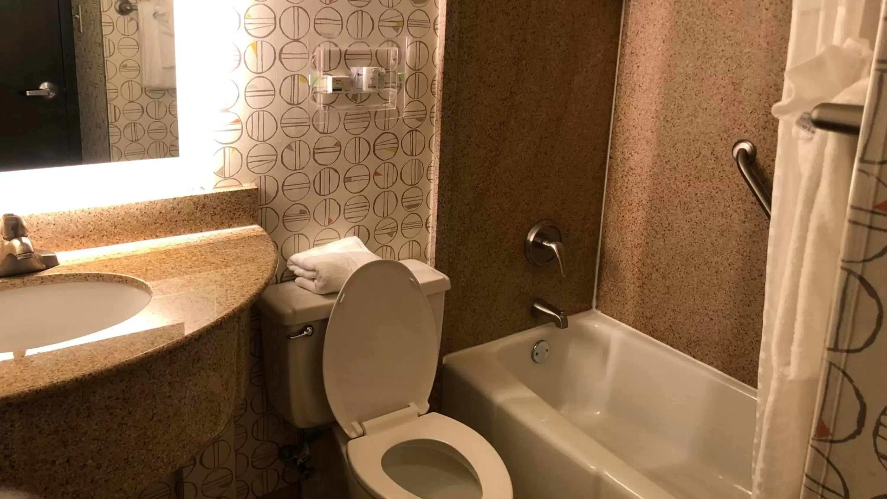 Photo of the whole room, Bathroom in Holiday Inn Asheville East-Blue Ridge Pkwy, an IHG Hotel