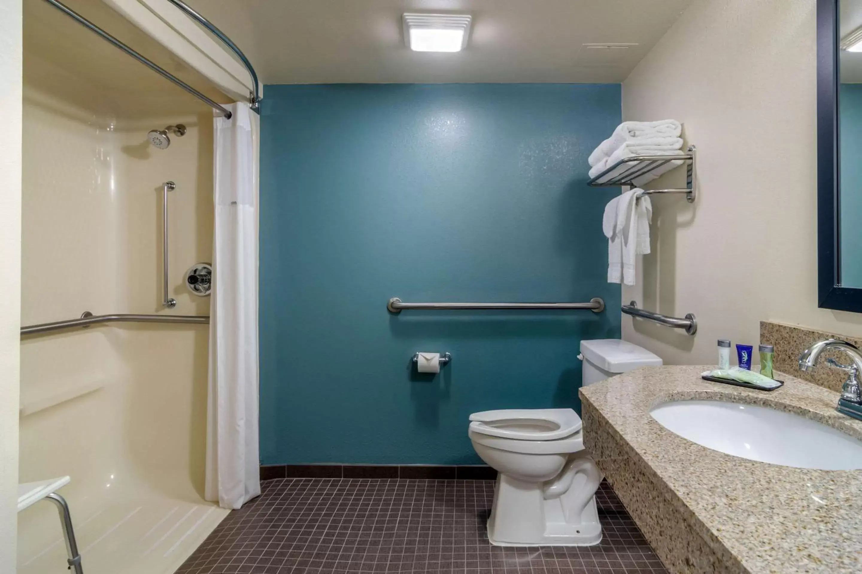 Toilet, Bathroom in Sleep Inn Marietta-Atlanta near Ballpark-Galleria