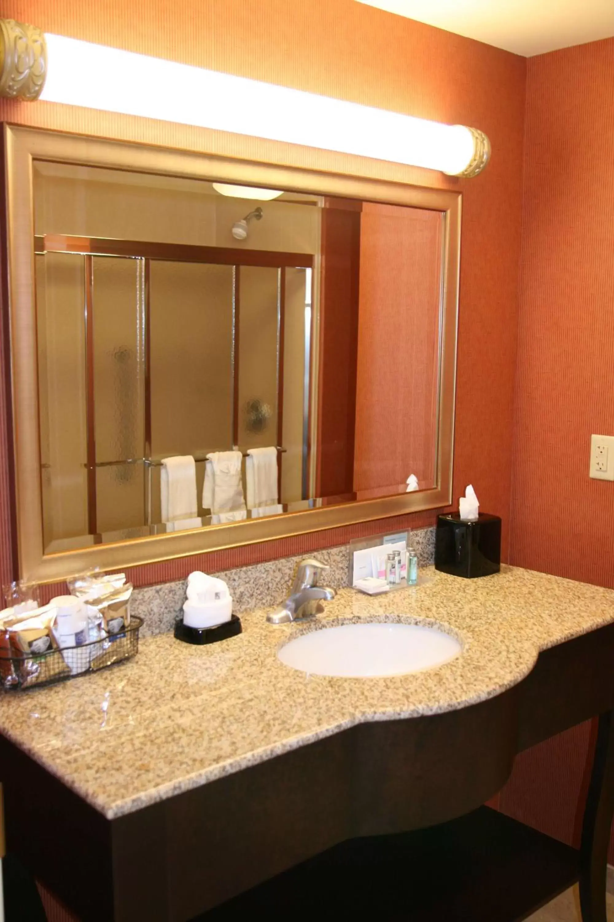 Bathroom in Hampton Inn By Hilton Jacksonville