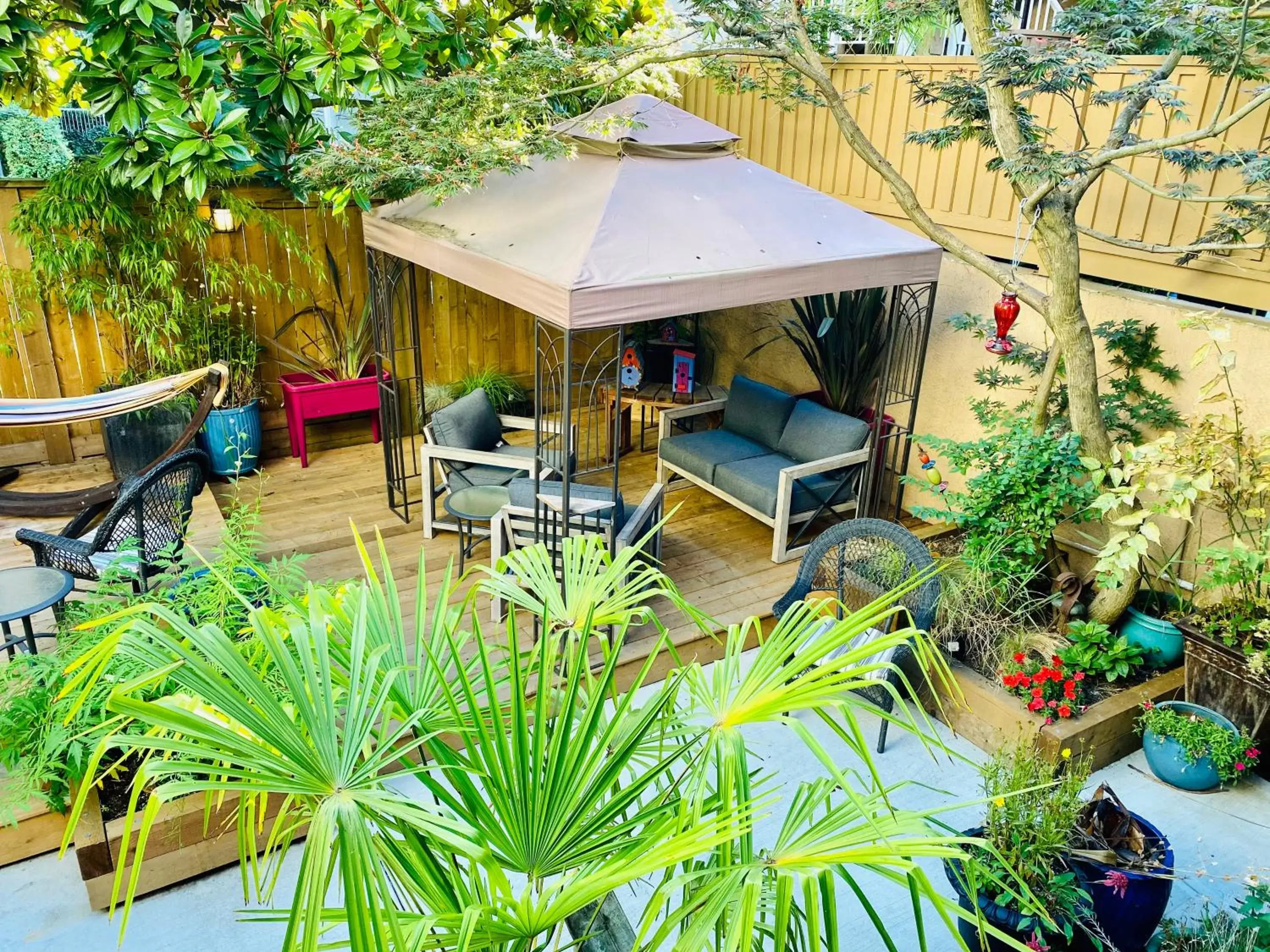 Patio in West End Guest House