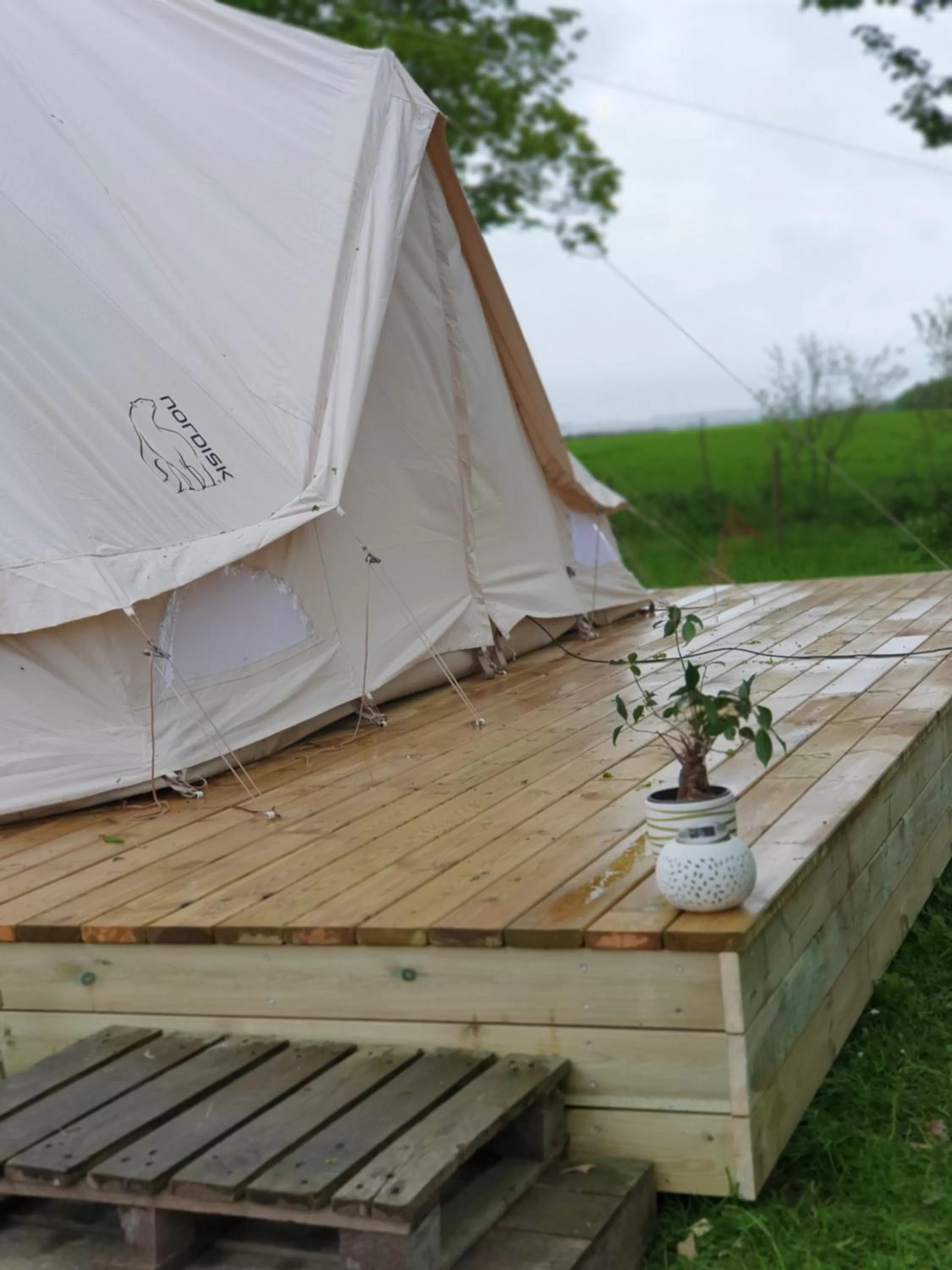 View (from property/room) in Skortskær Bondegårdsferie