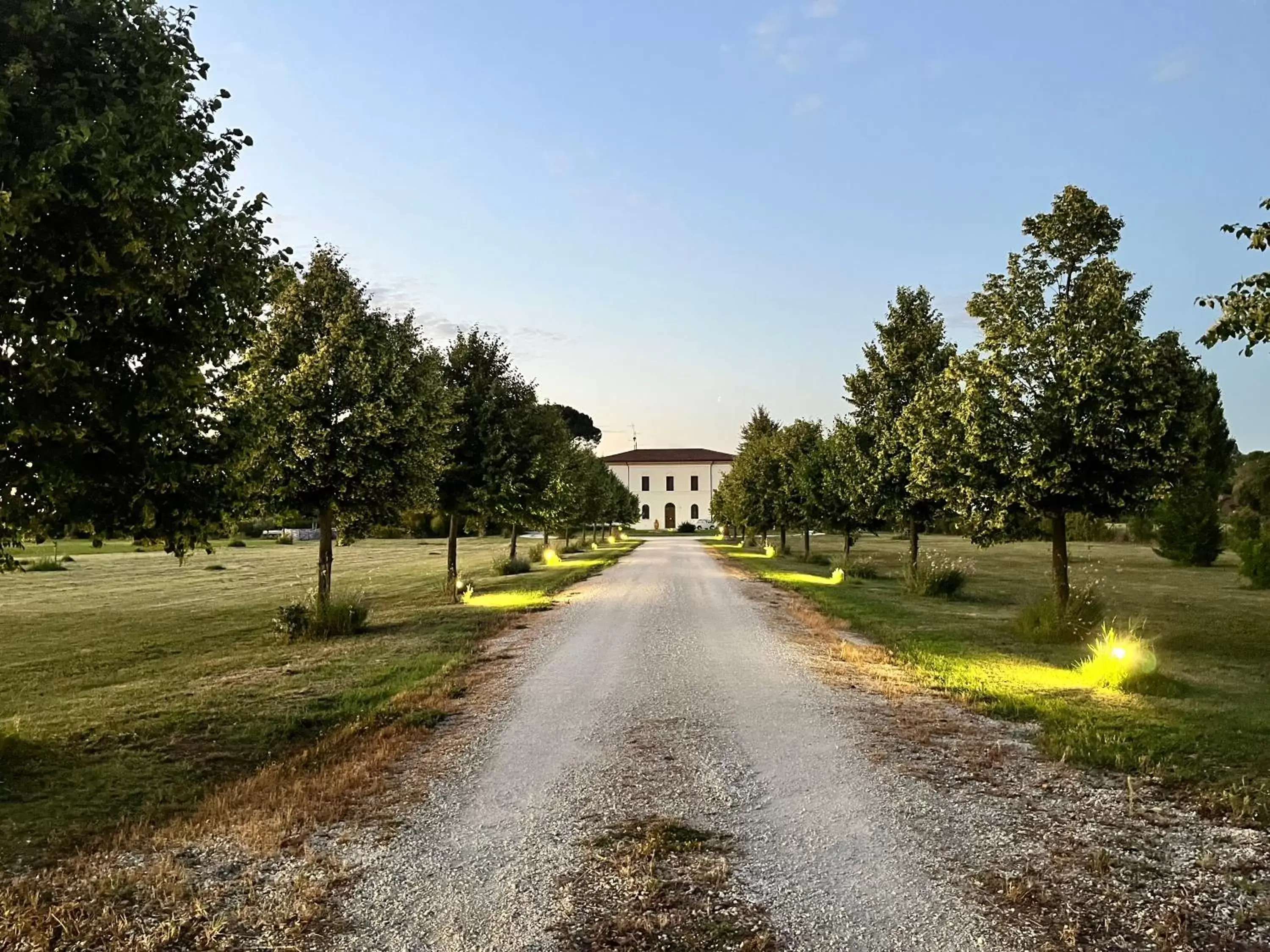 Garden in Villa Archi