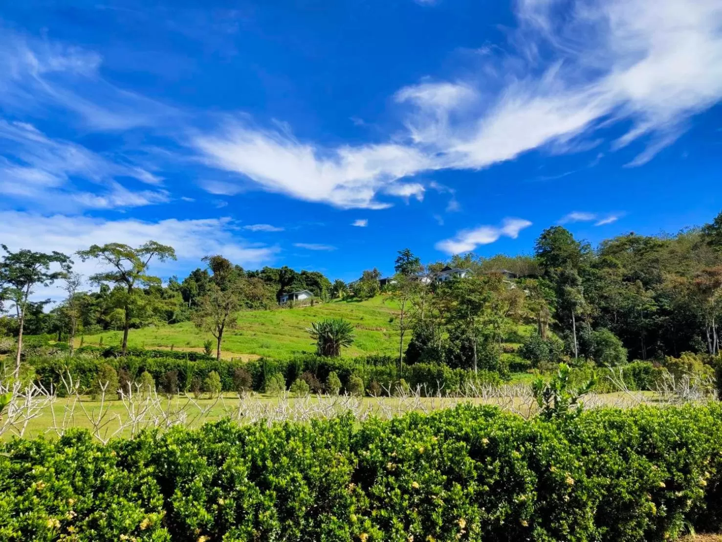 Khaolak Blue Sky Villa