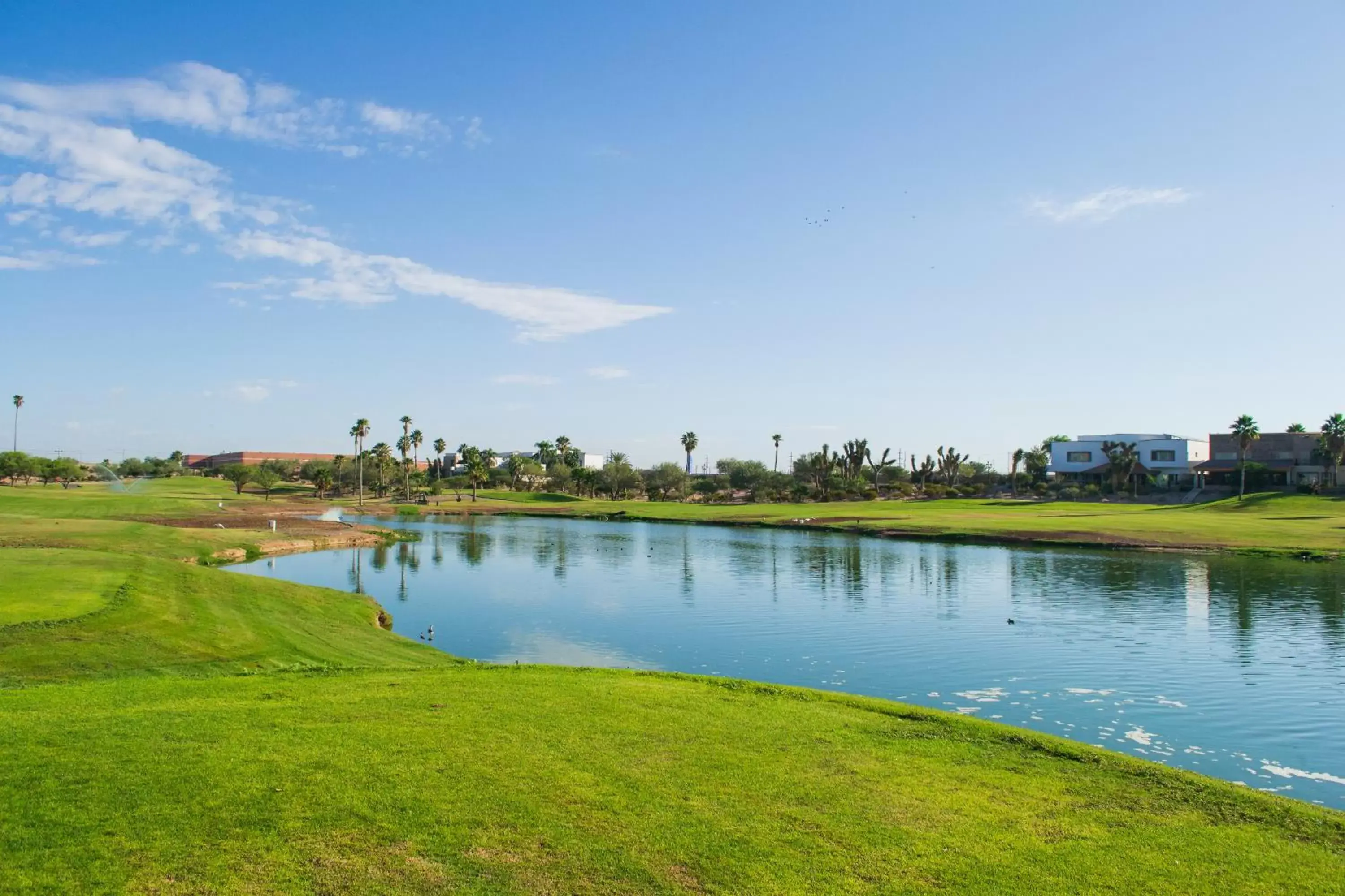 Garden in Azul Talavera Country Club