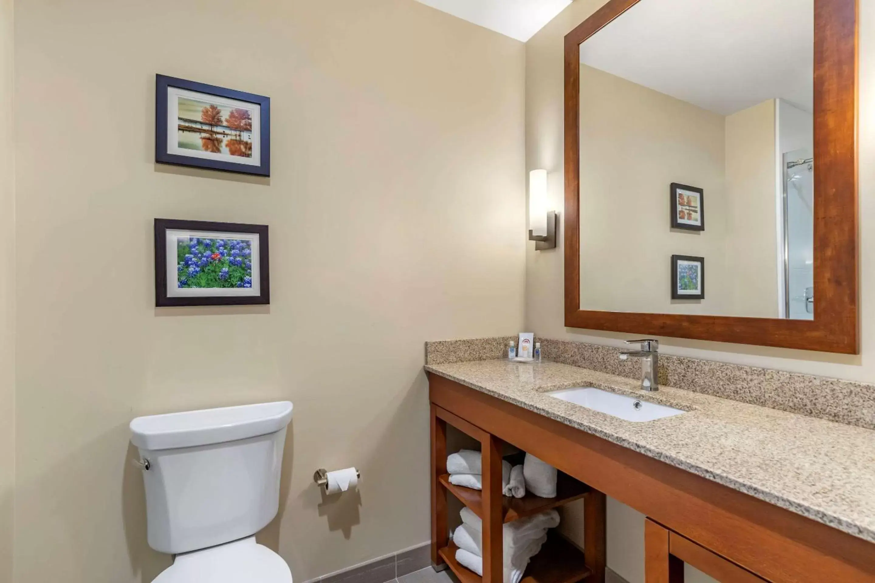 Bathroom in Comfort Suites San Antonio Ft. Sam Houston/SAMMC Area