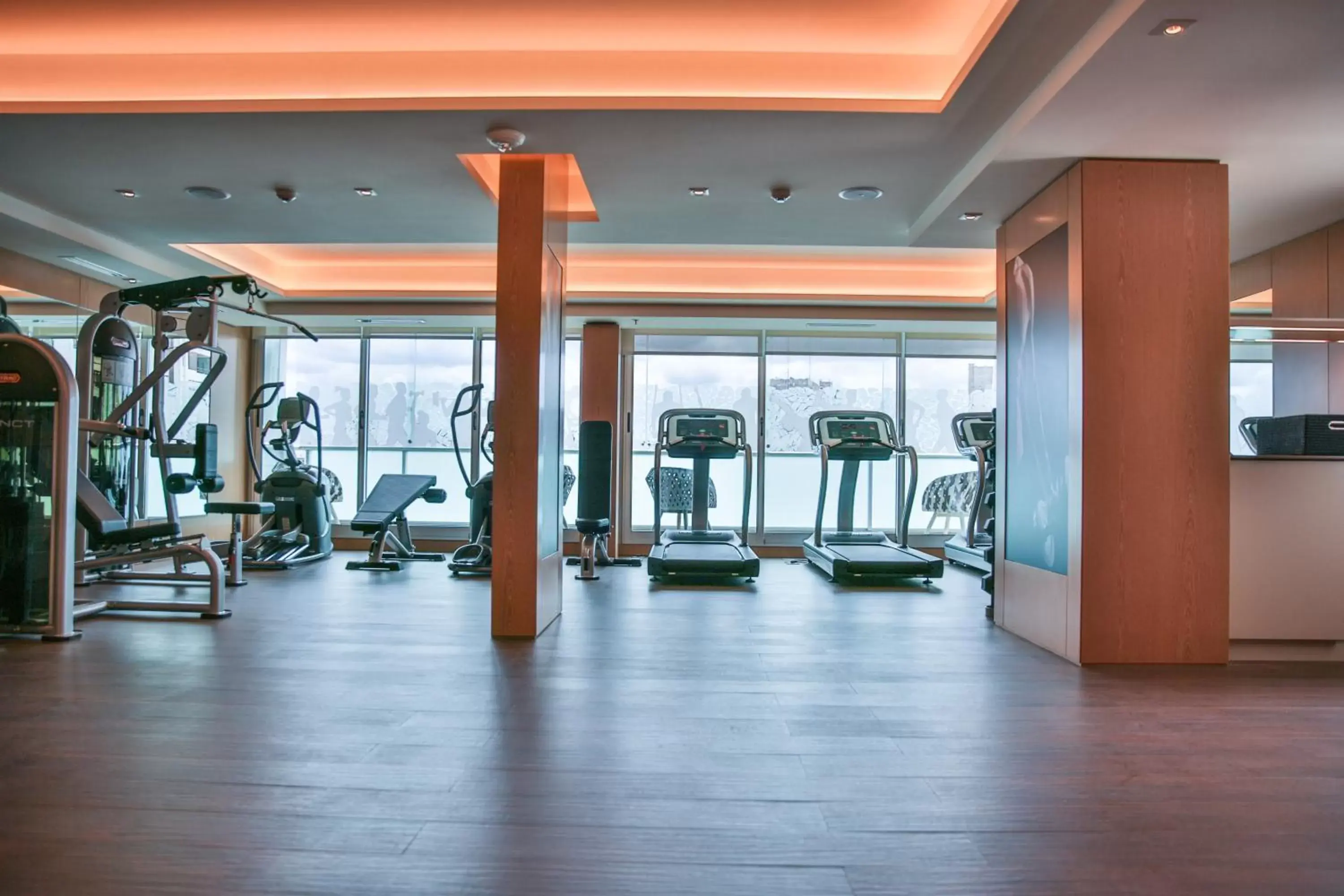 Fitness centre/facilities, Fitness Center/Facilities in Palladio Hotel Buenos Aires - MGallery