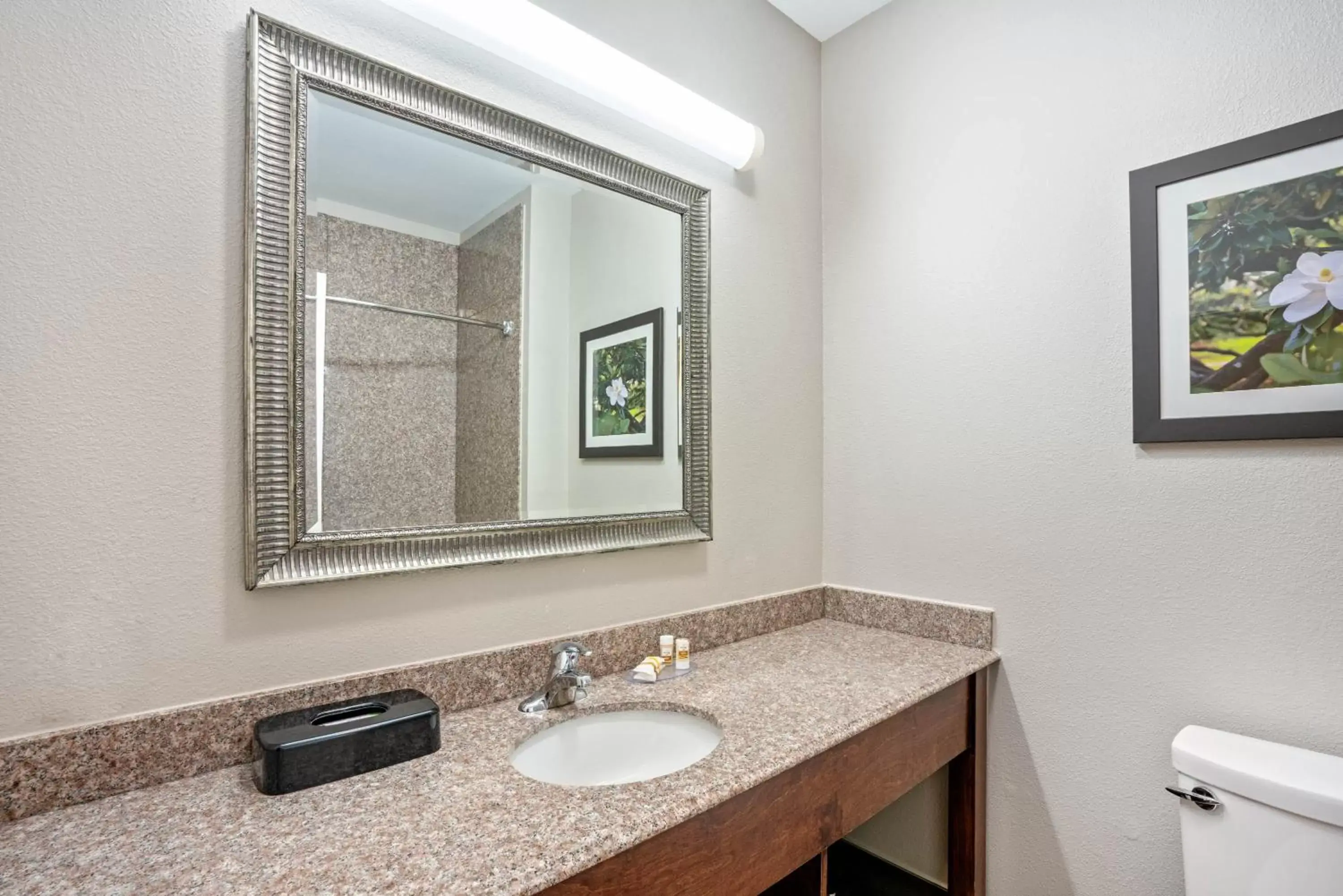 Bathroom in La Quinta by Wyndham Columbus TX