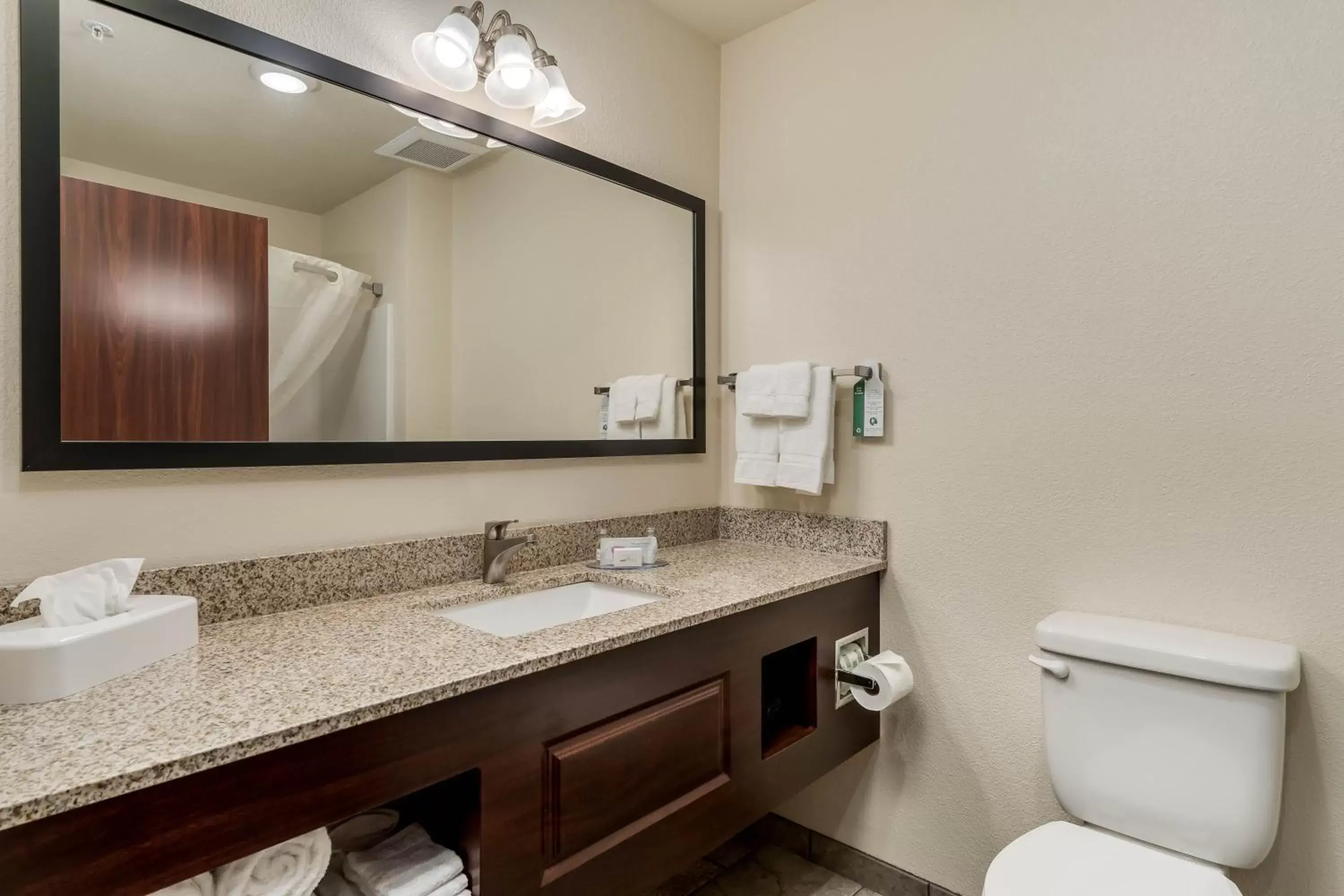 Bathroom in Cobblestone Hotel & Suites - Morgan