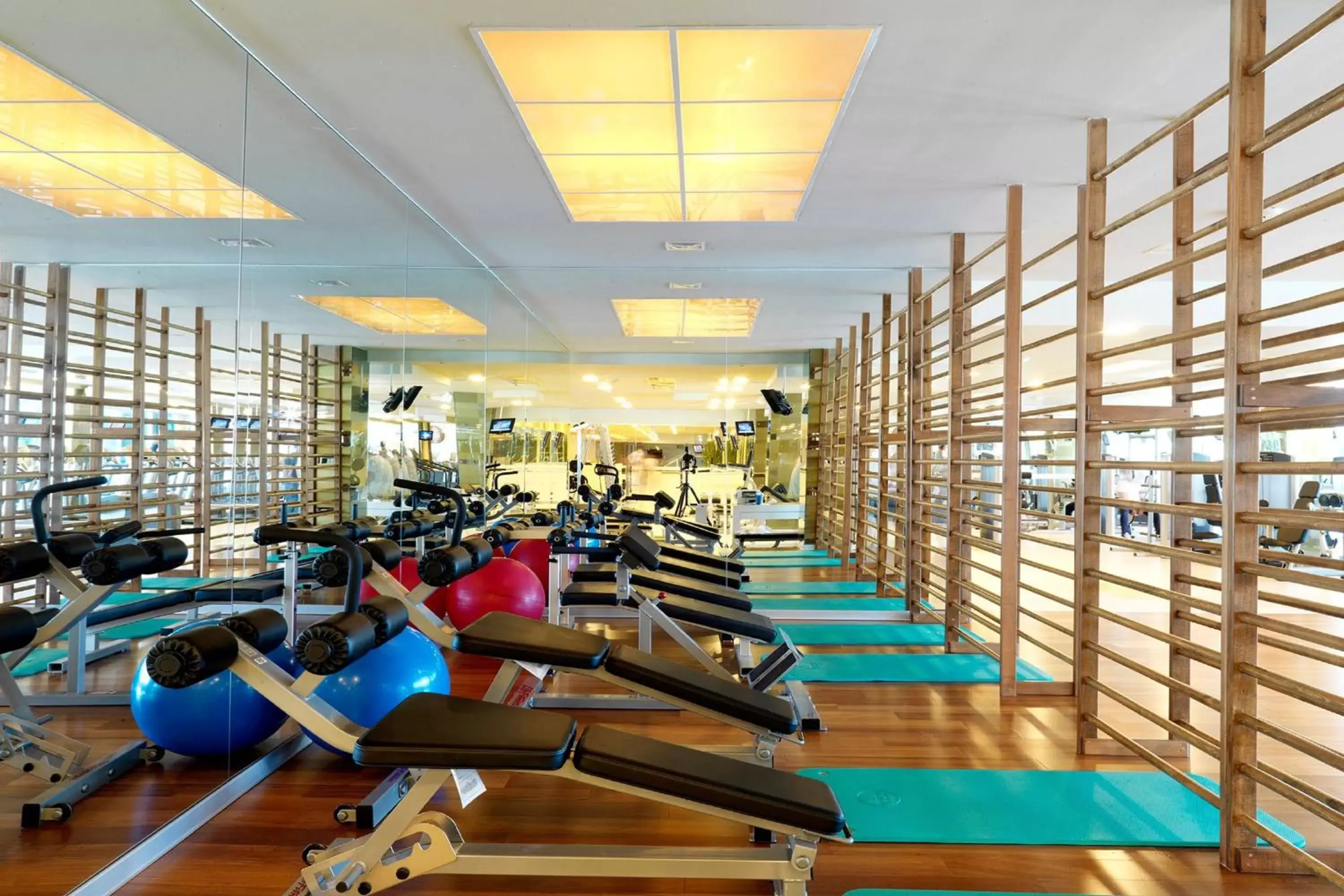 Fitness centre/facilities, Fitness Center/Facilities in Renaissance Polat Istanbul Hotel