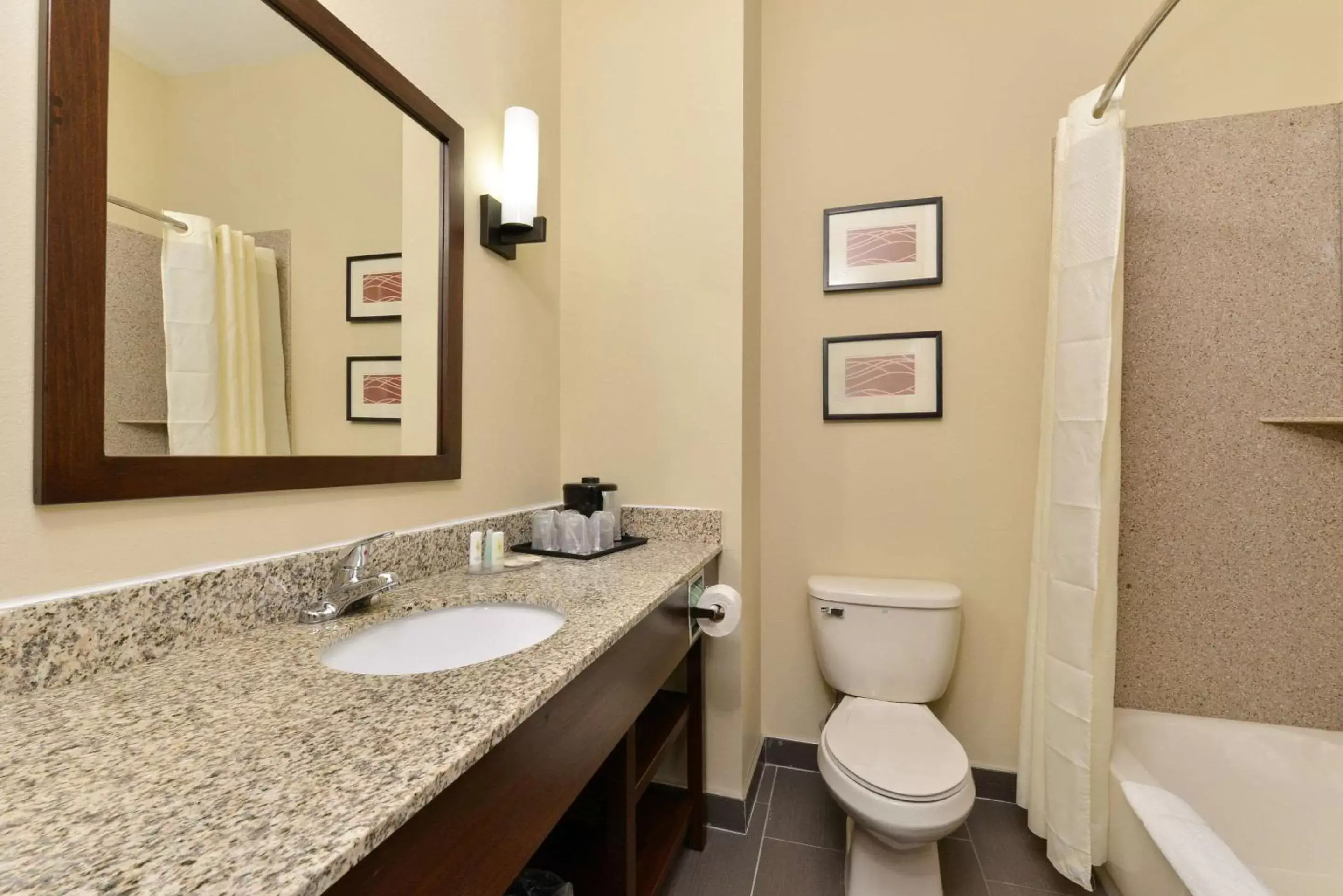 Photo of the whole room, Bathroom in Comfort Inn and Suites Manheim