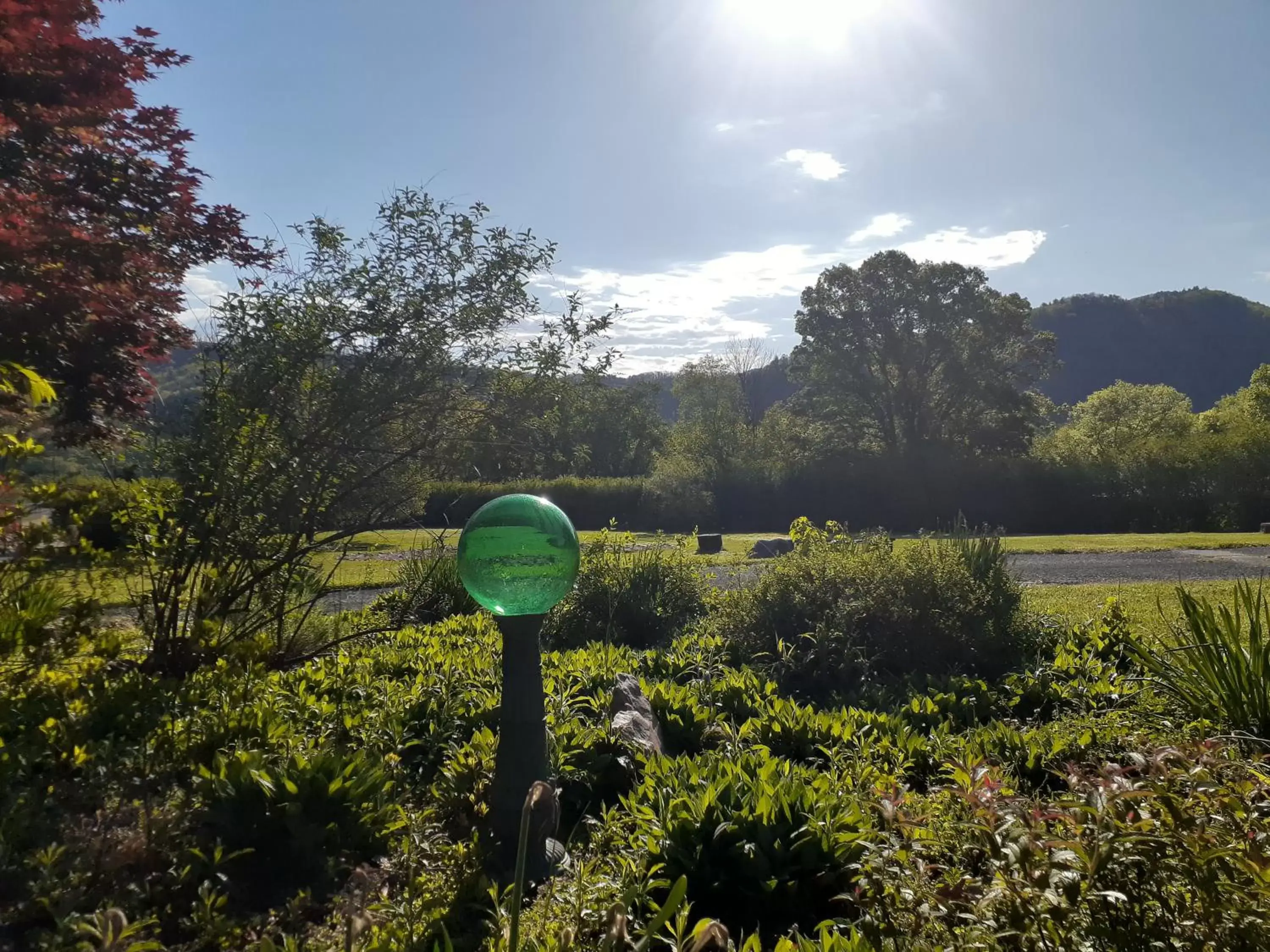 Garden in Laughing Heart Lodge