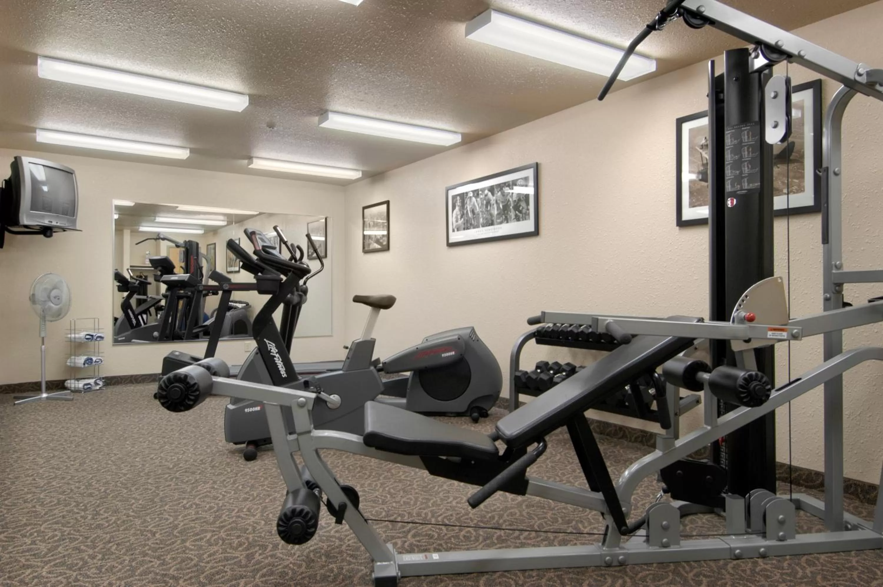 Day in Days Inn by Wyndham Red Deer