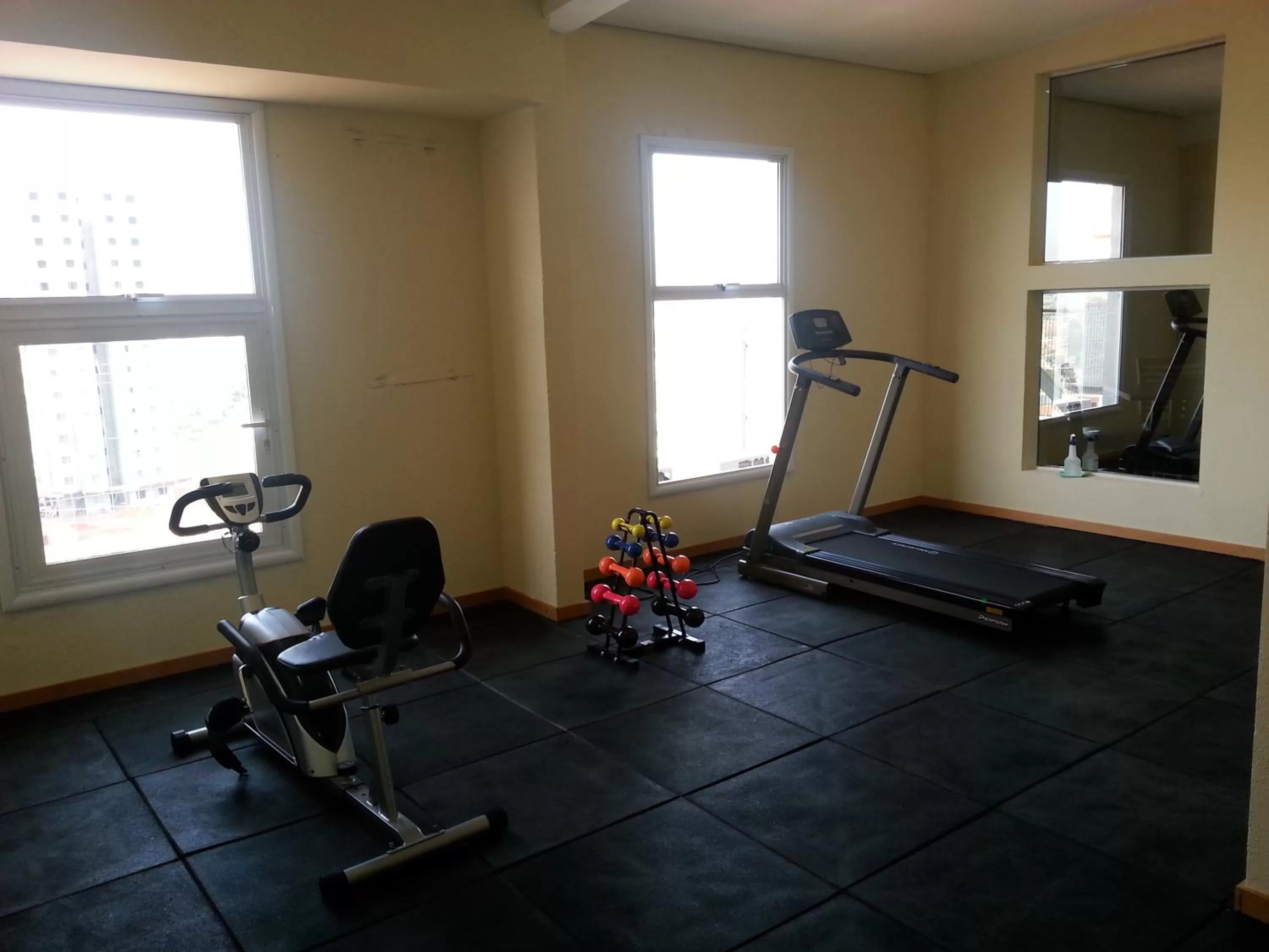Fitness centre/facilities in Druds Hotel Hortolândia