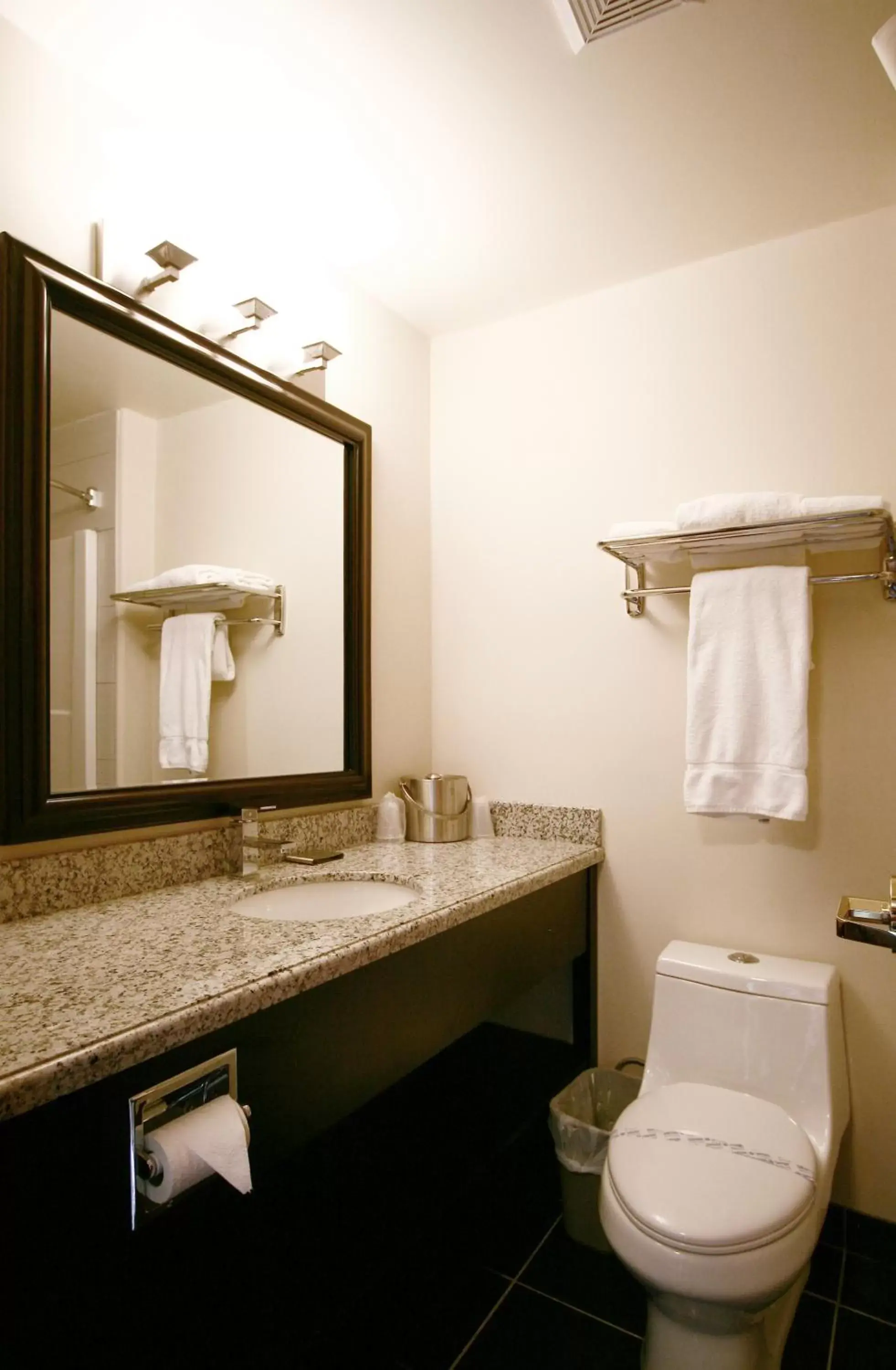 Bathroom in Foxwood Inn & Suites Drayton Valley