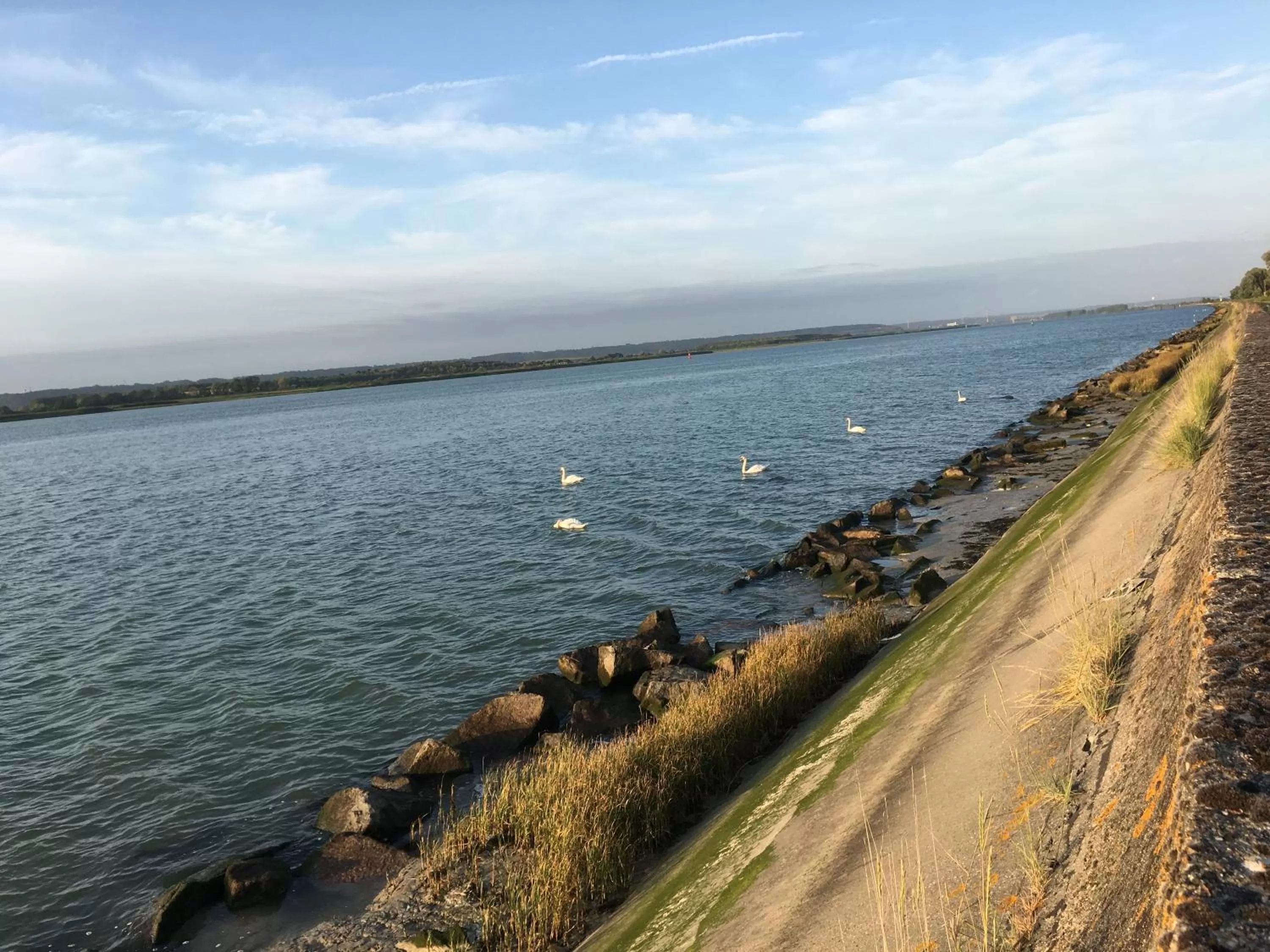 Natural landscape in La Romance et la Romanesque