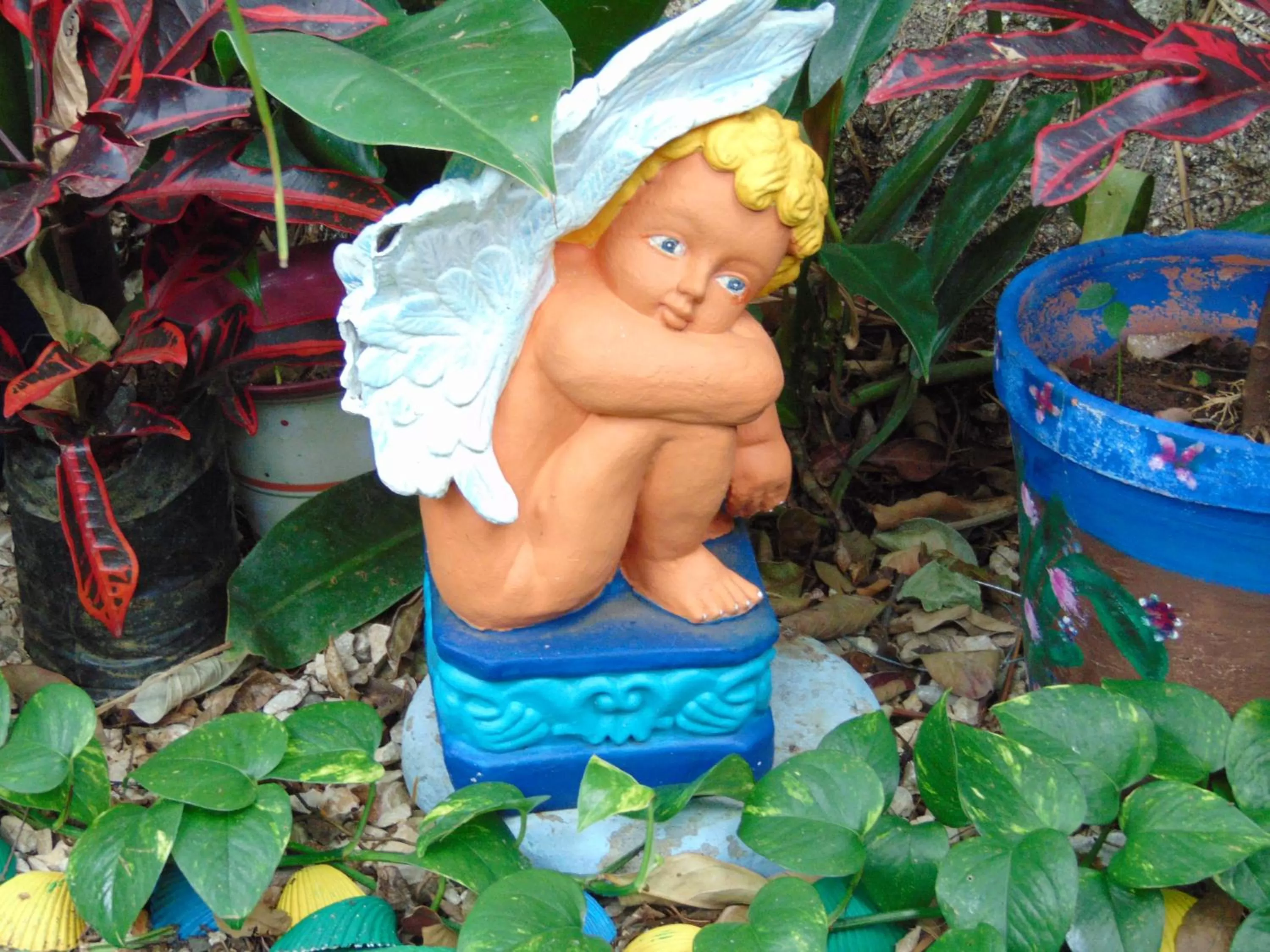 Garden in Casa Lima B&B