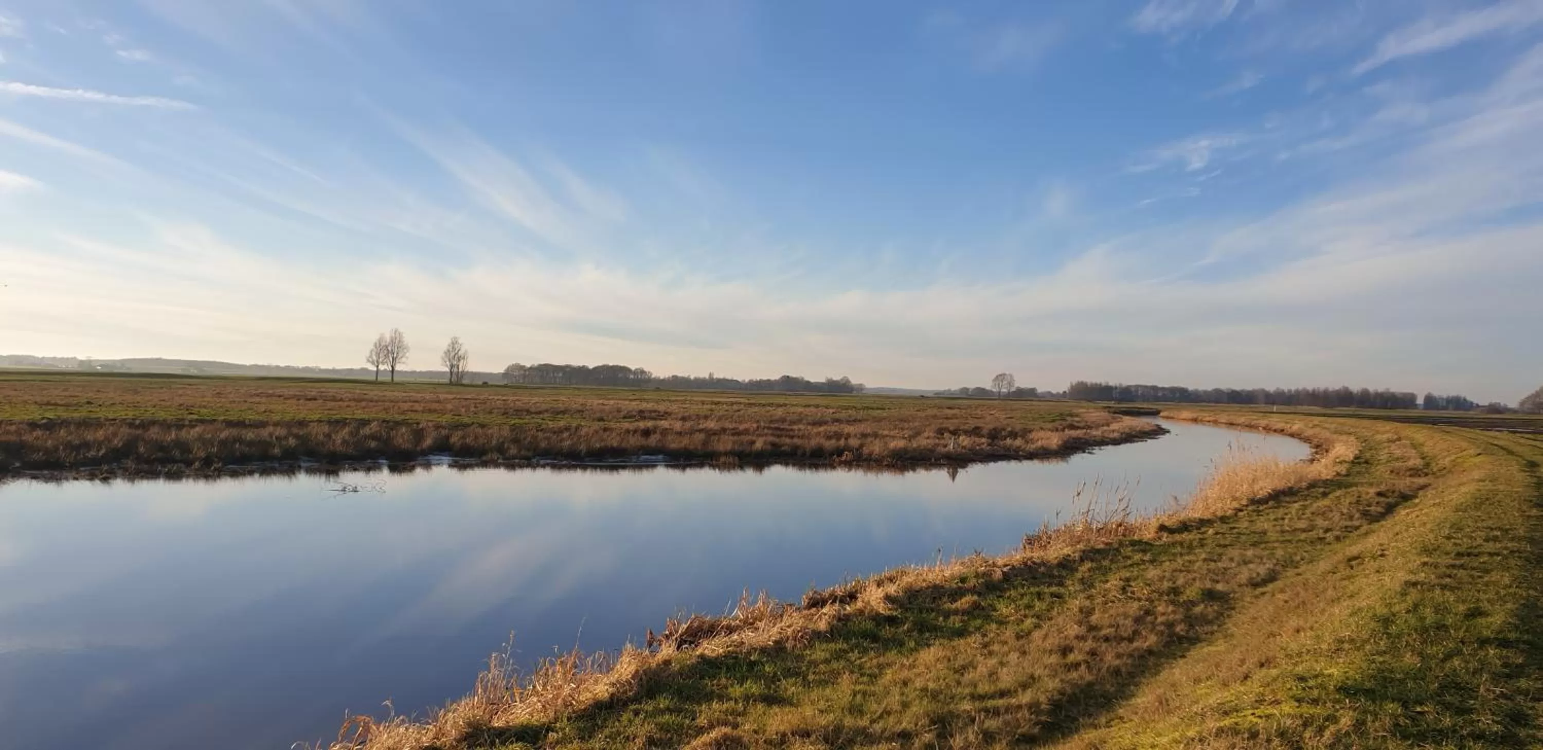 Natural Landscape in Guesthouse Het Gouden Eiland