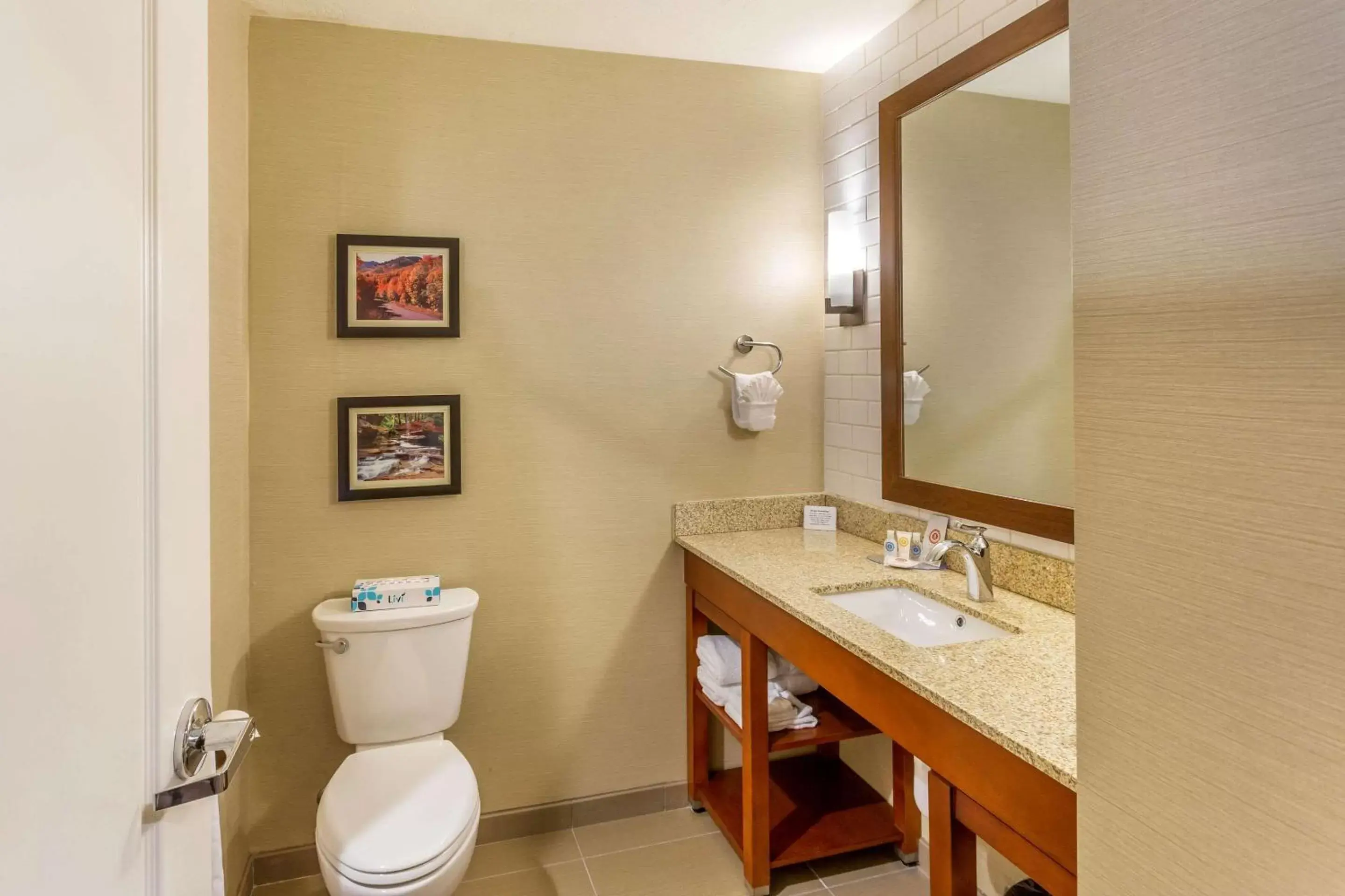 Bedroom, Bathroom in Comfort Inn & Suites Logan Near University