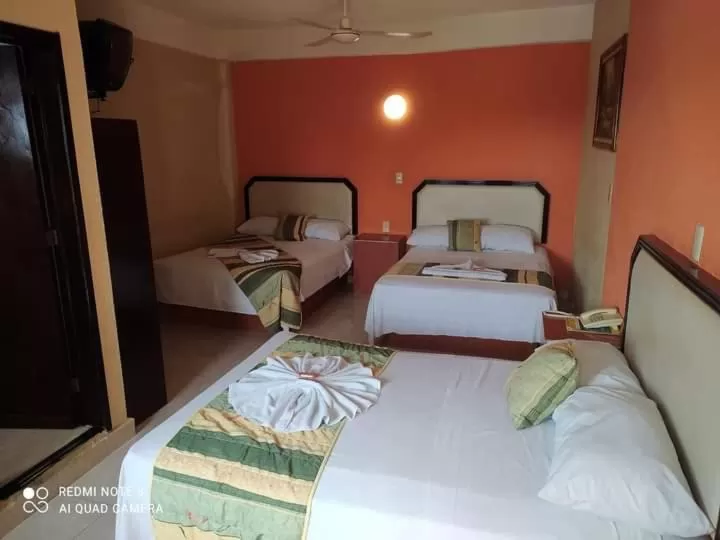 Photo of the whole room in HOTEL MERIDA